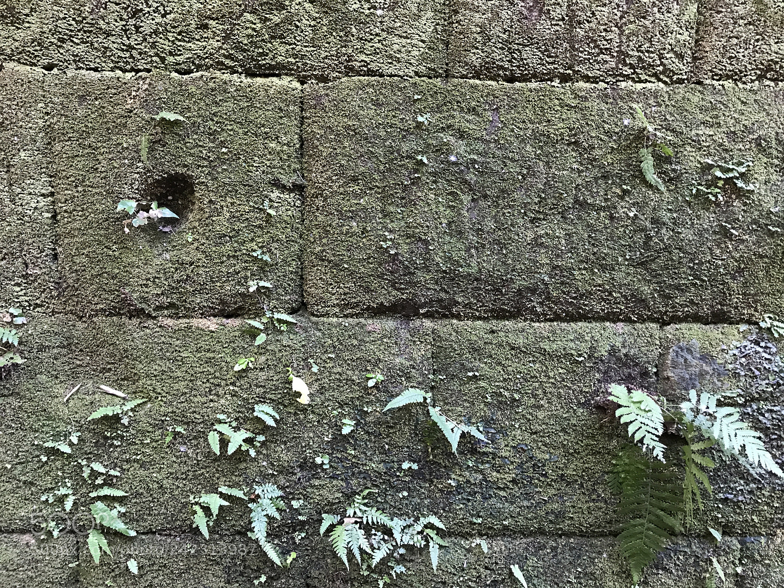 Apple iPhone 7 Plus sample photo. Untitled photography