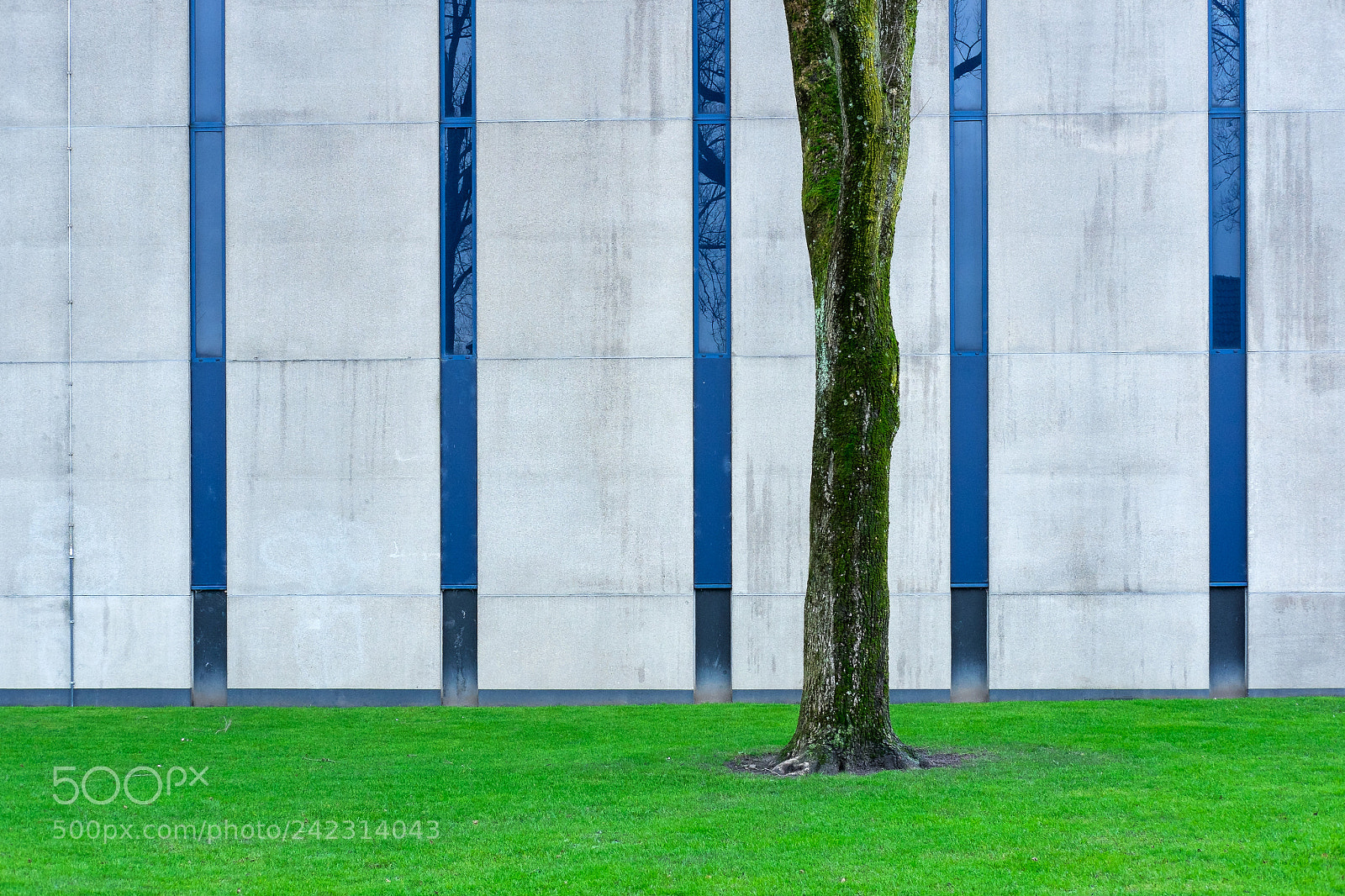 Fujifilm X-E2 sample photo. City nature... photography