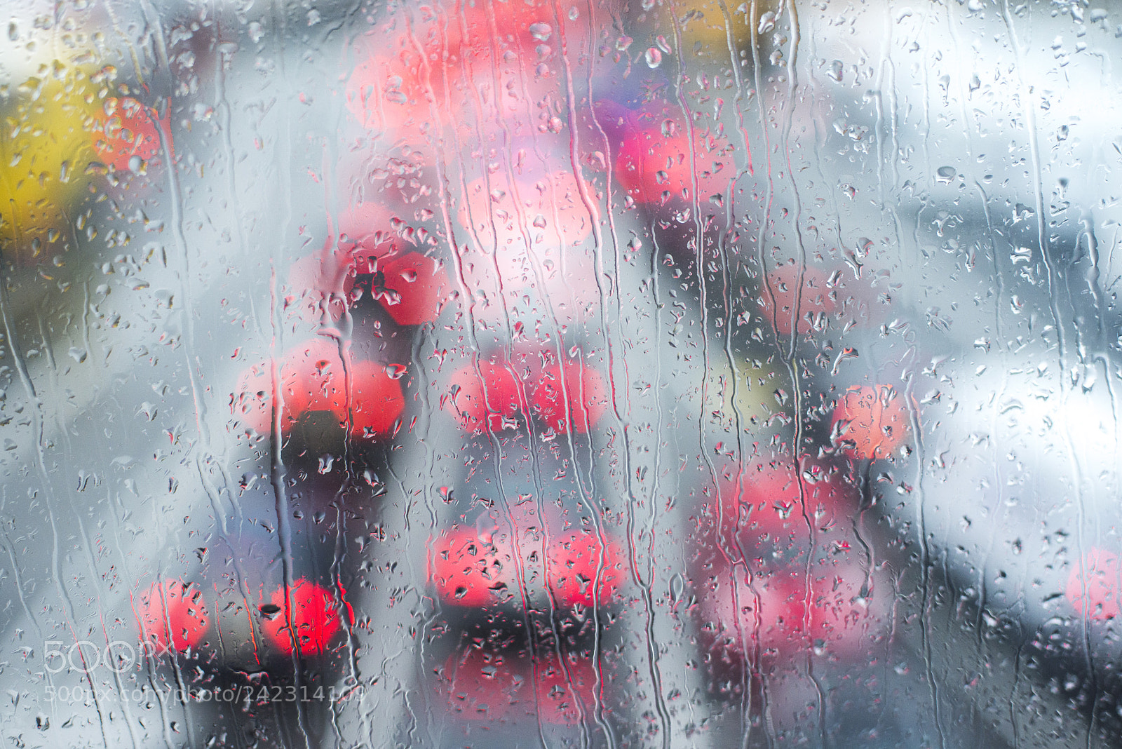 Nikon D600 sample photo. Rainy day photography
