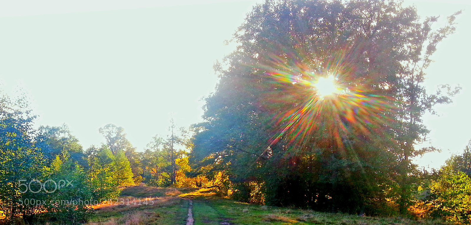 Samsung Galaxy S3 sample photo. Sunny day photography