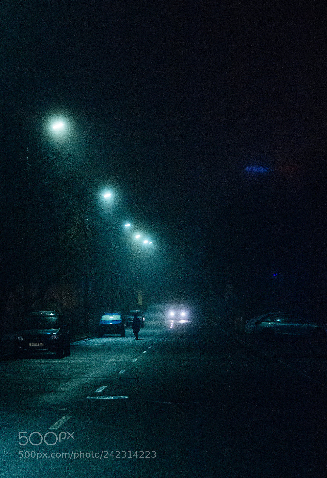 Canon EOS 60D sample photo. Mist in minsk photography