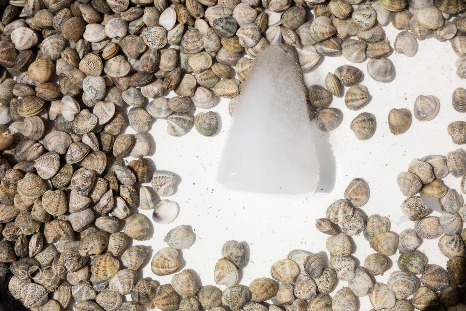 Canon EOS 5DS R sample photo. Telline with ice in photography