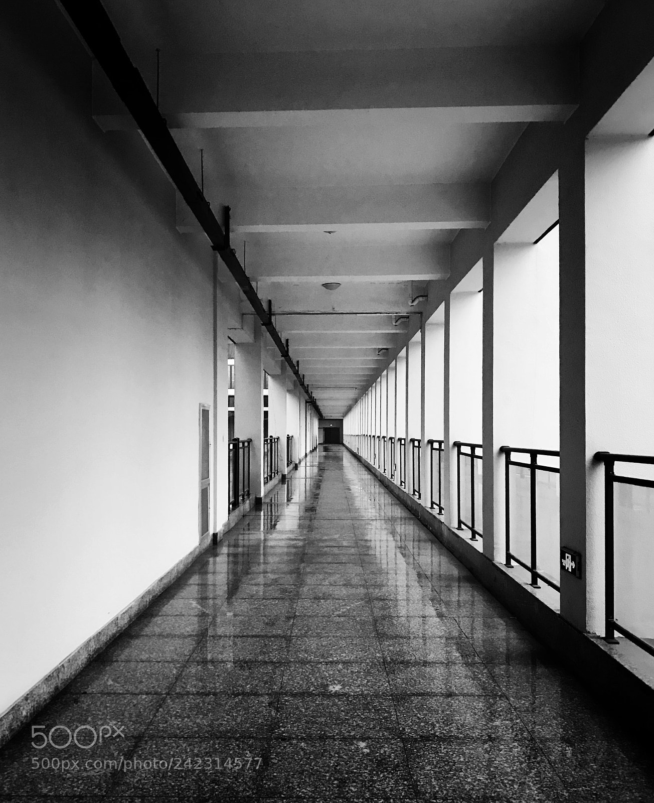 Apple iPhone 7 sample photo. Nothing photography