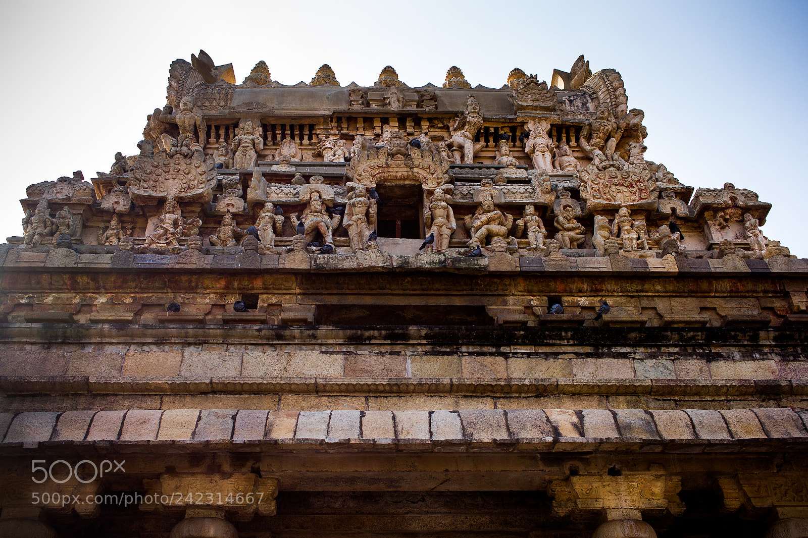 Canon EOS 550D (EOS Rebel T2i / EOS Kiss X4) sample photo. Airavatesvara temple photography