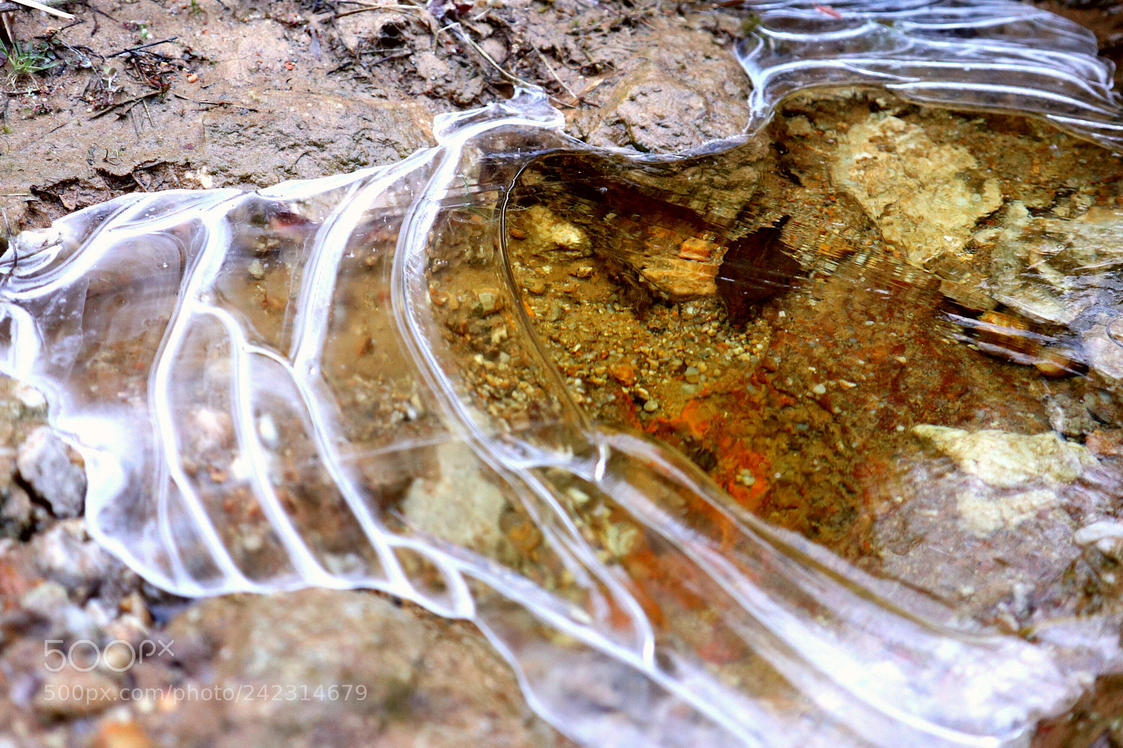 Canon EOS M100 sample photo. Froze photography