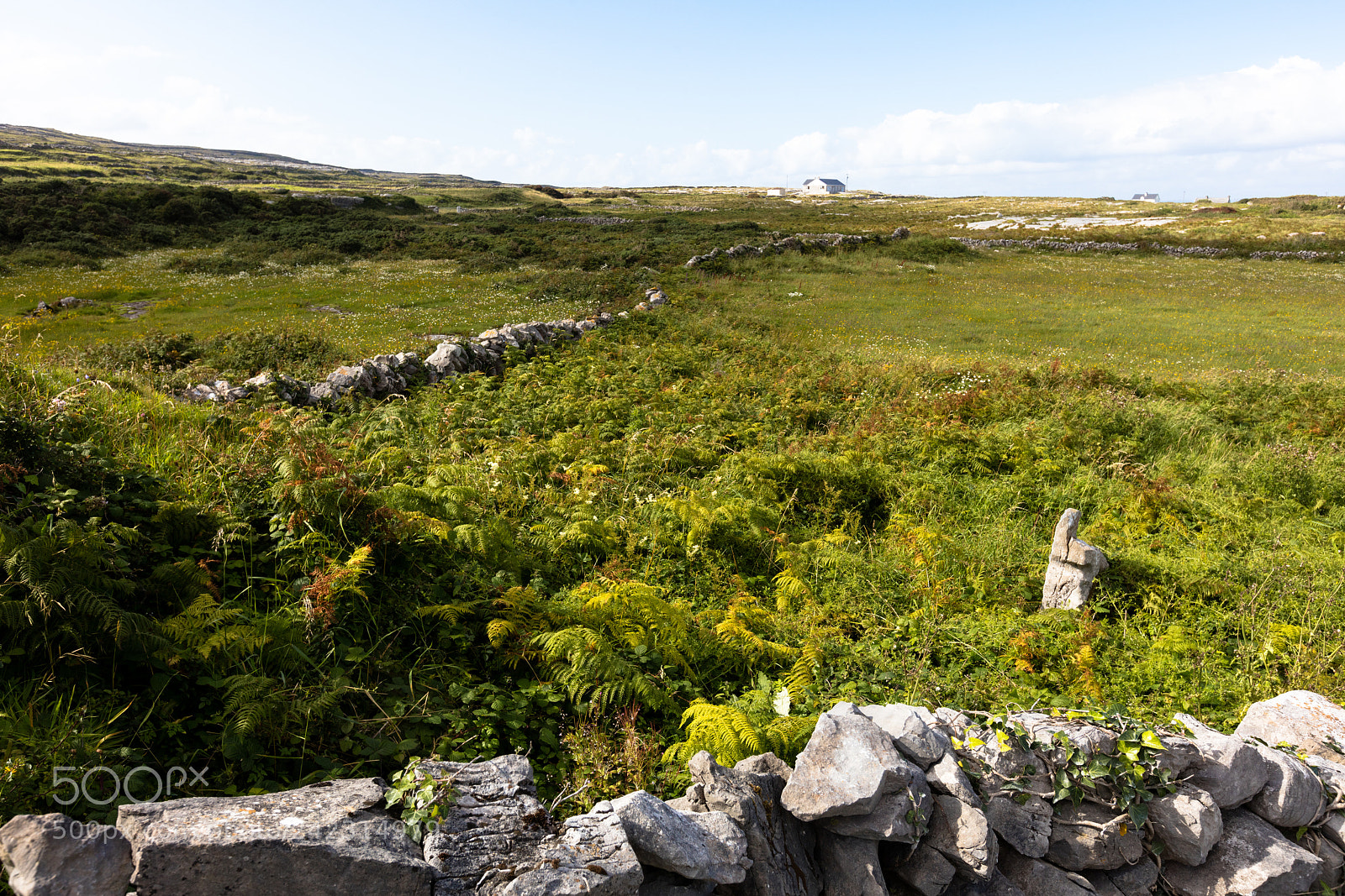 Canon EOS 5DS R sample photo. Inish more, ireland photography