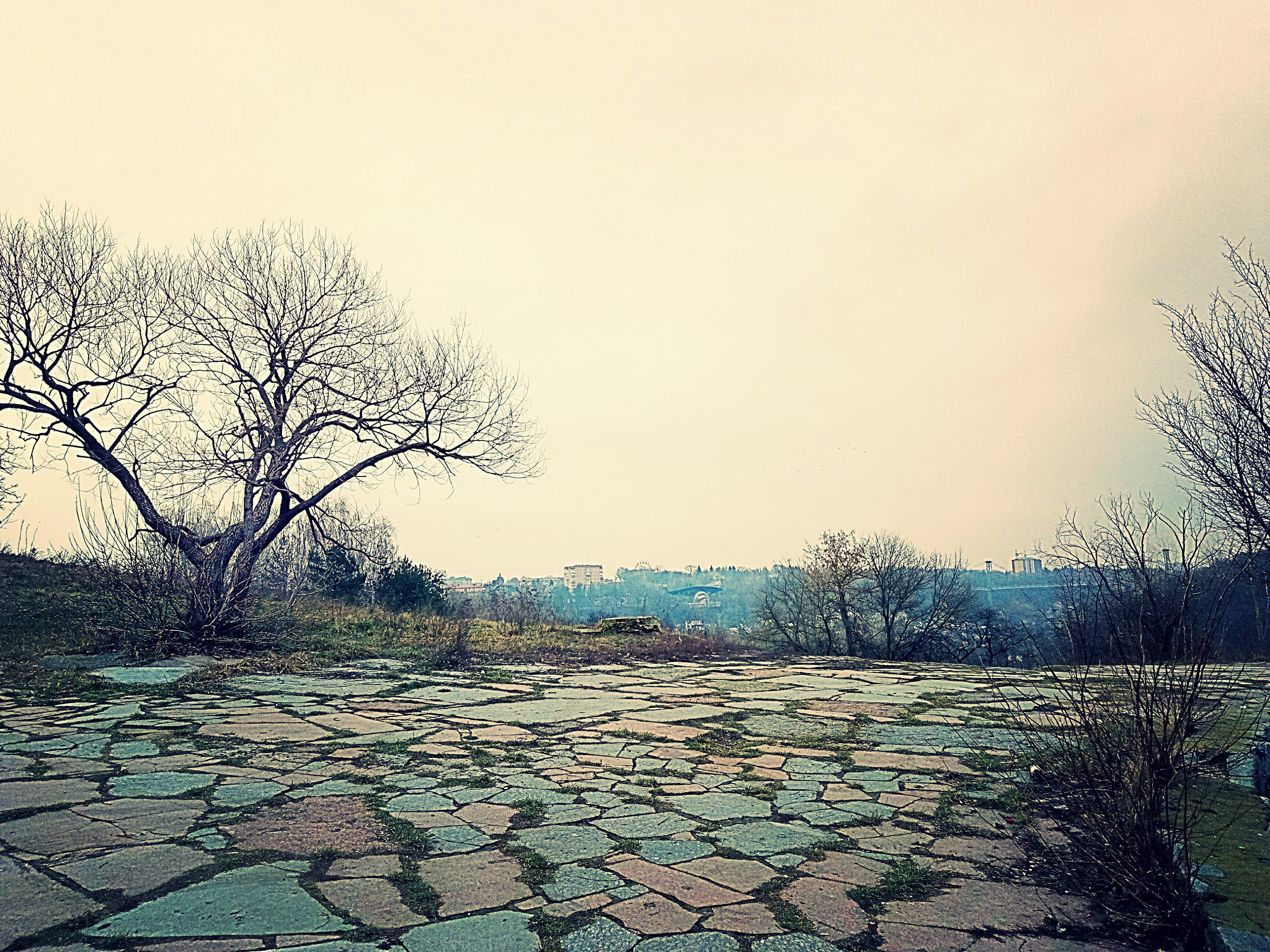 Meizu U20 sample photo