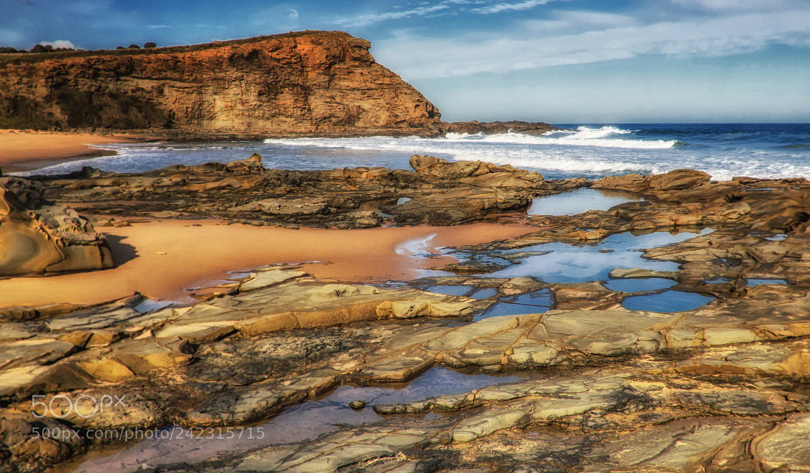 Olympus OM-D E-M5 sample photo. Bass coast photography