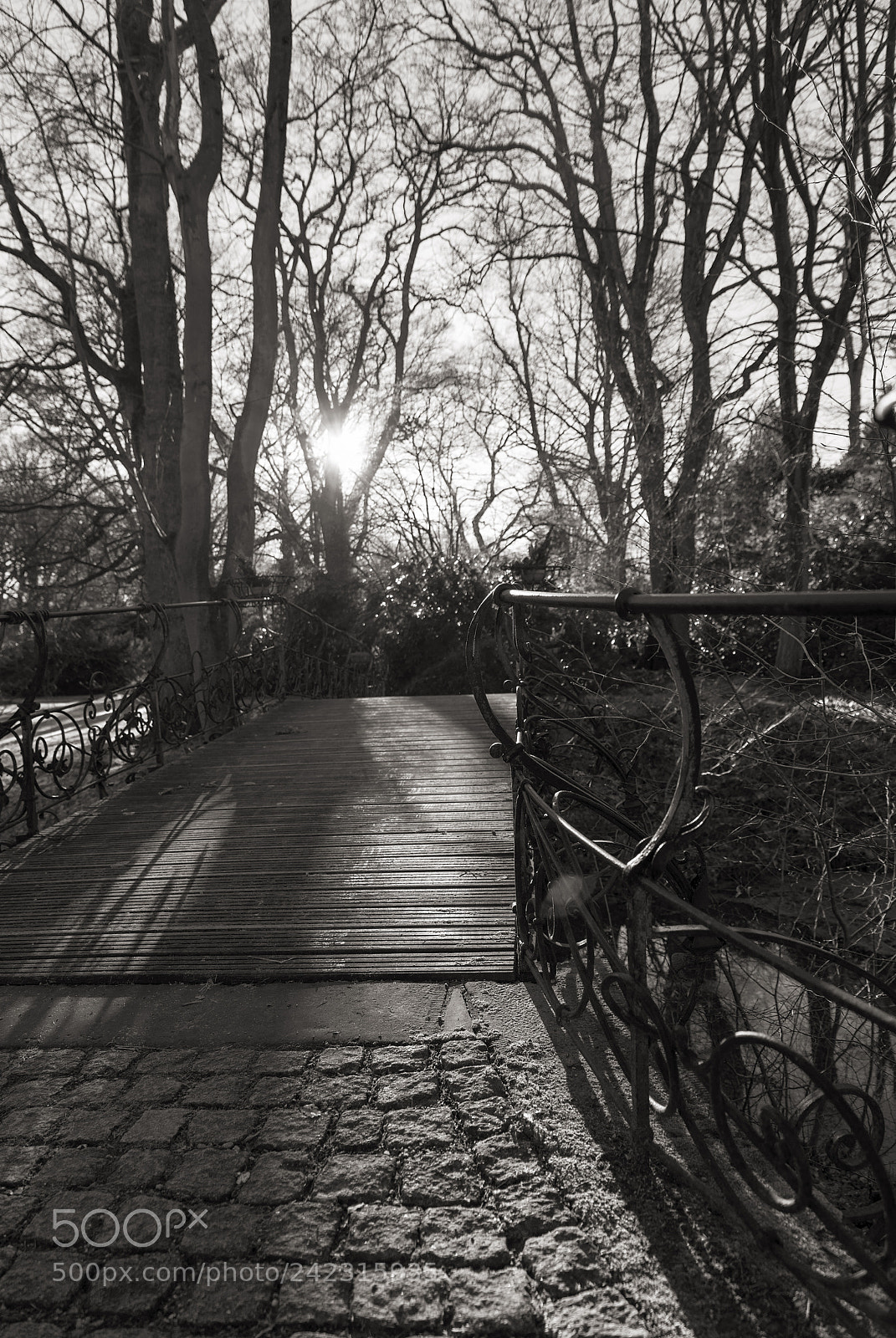 Nikon D800 sample photo. Wer nicht neugierig ist photography