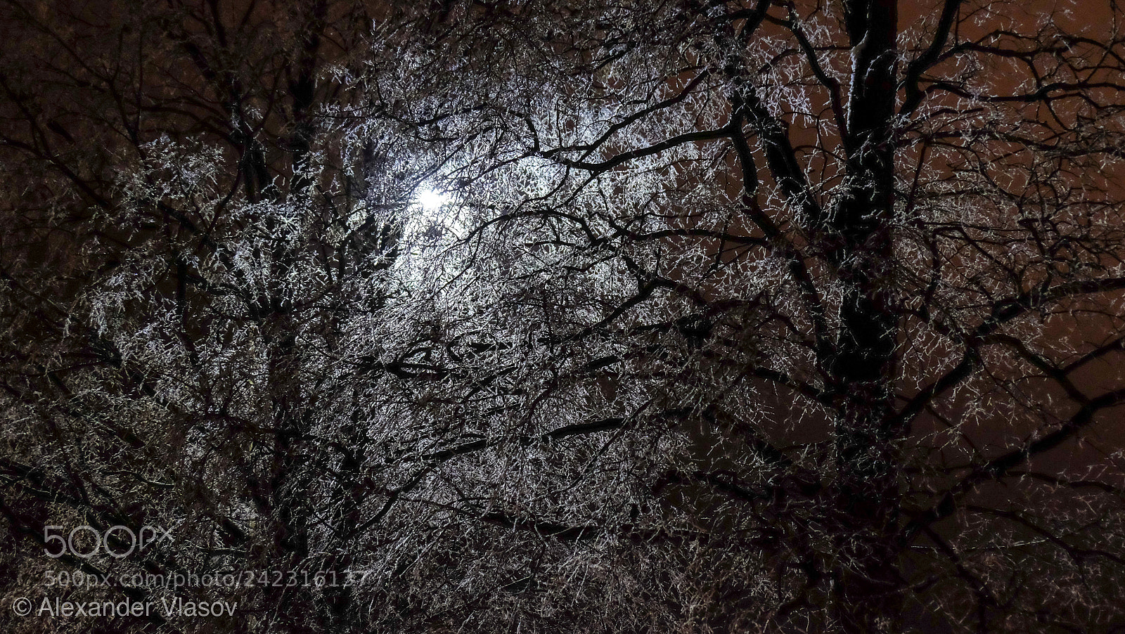 Fujifilm X-T10 sample photo. Ice trees photography