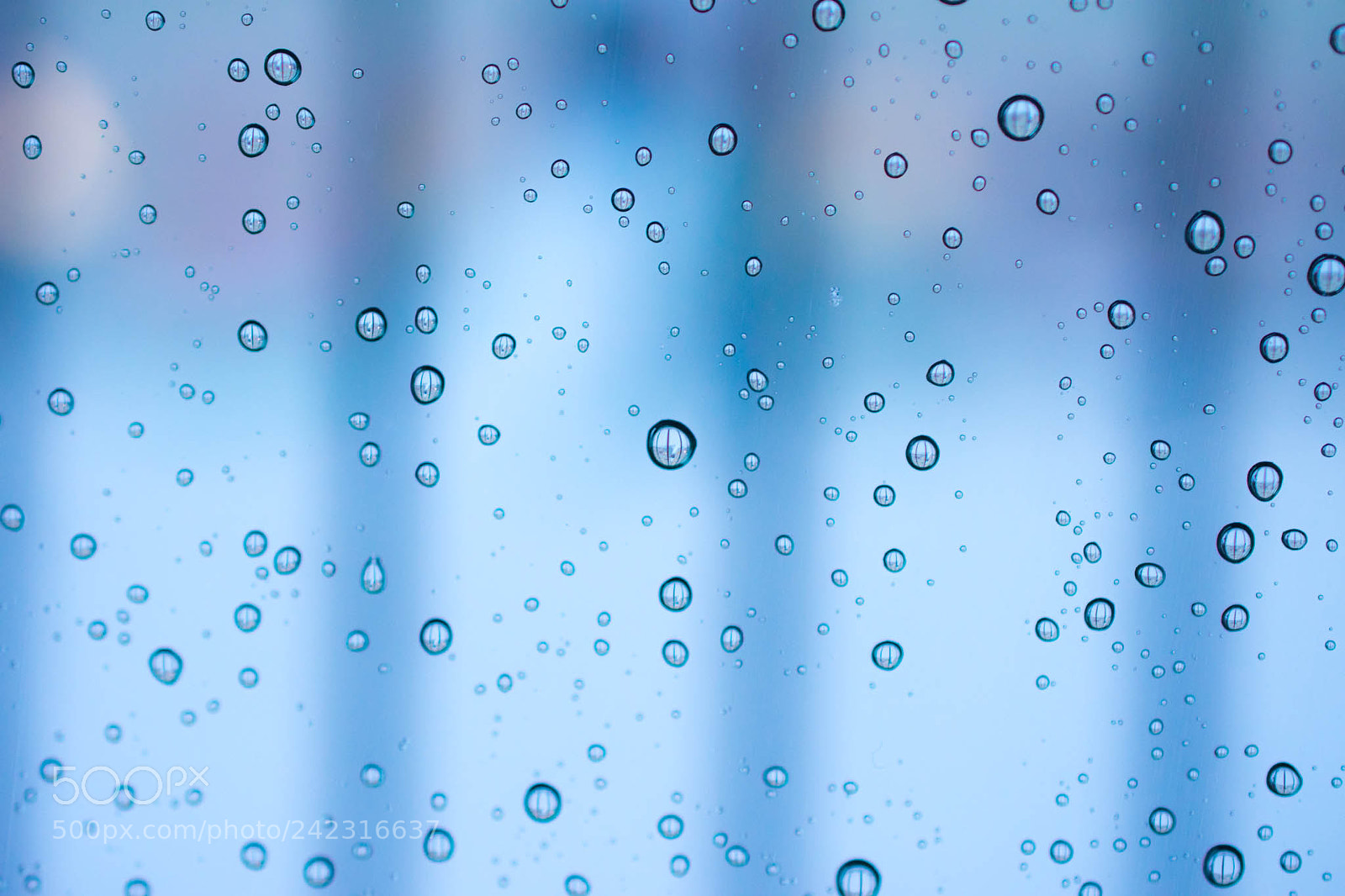 Nikon D7200 sample photo. Drops photography