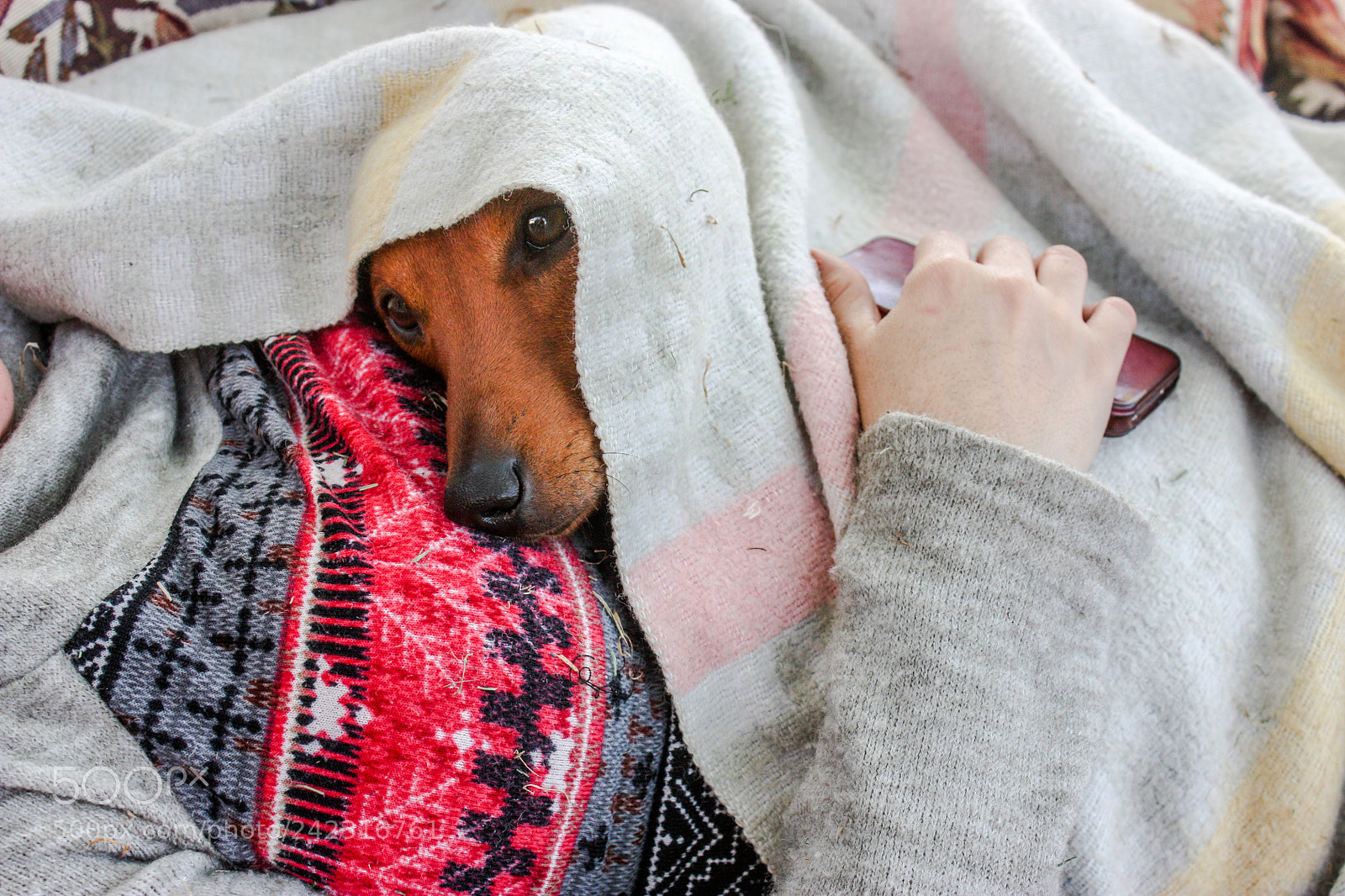 Canon EOS 450D (EOS Rebel XSi / EOS Kiss X2) sample photo. Nap time with my photography