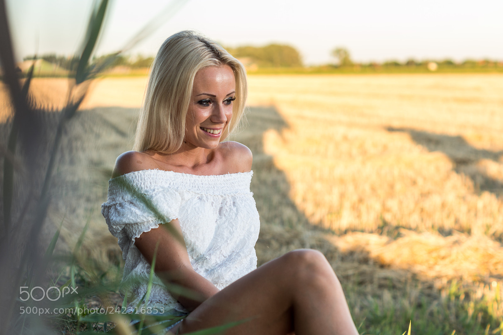 Sony SLT-A68 sample photo. Barbi photography