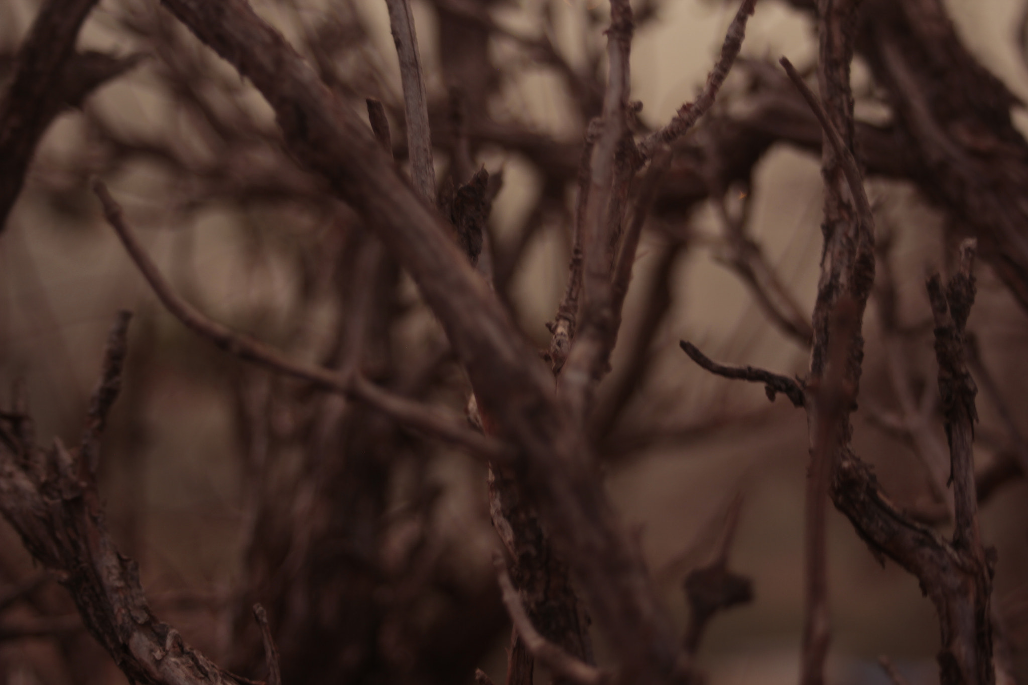 Canon EF 35-80mm f/4-5.6 sample photo. 13' 18 photography