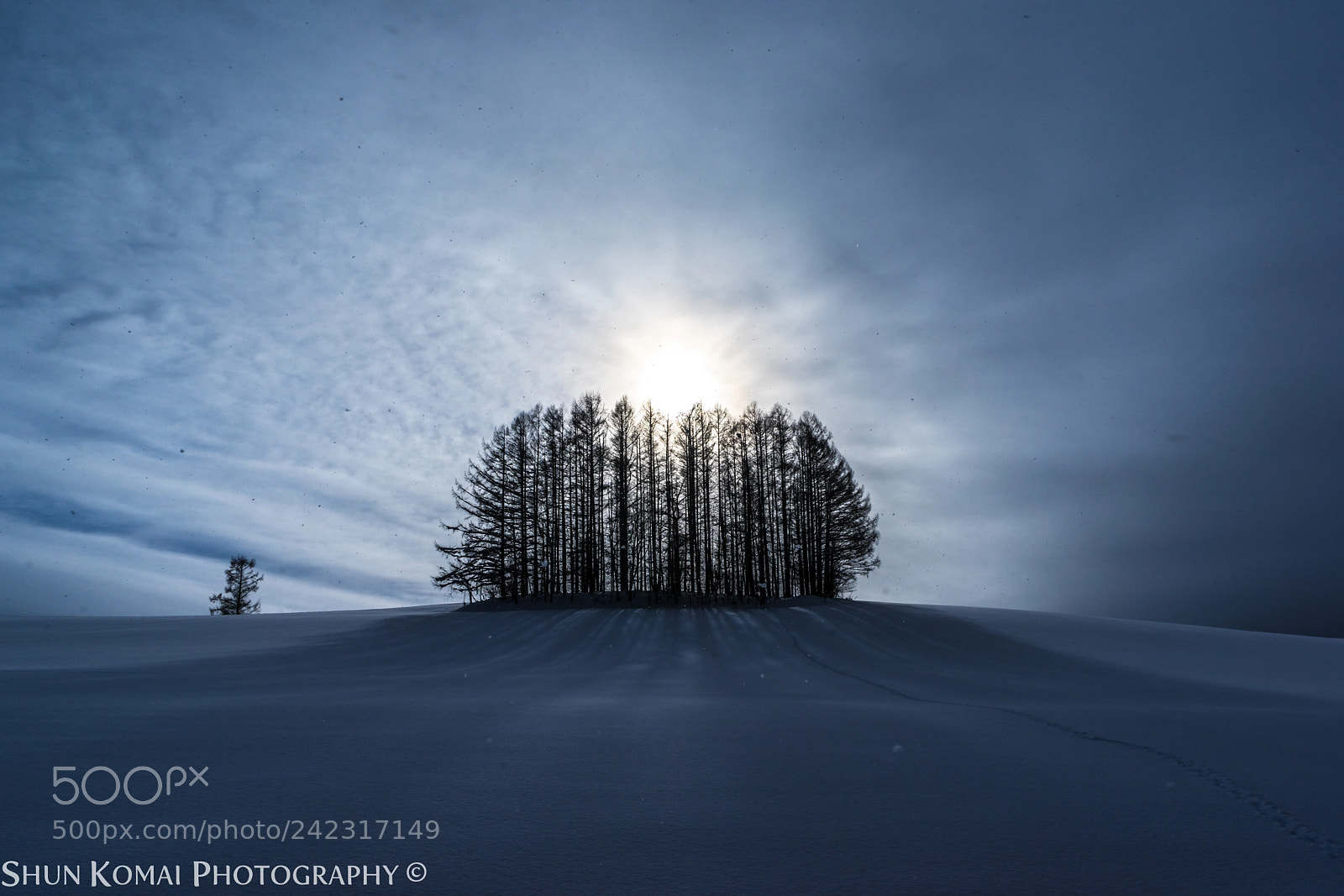Sony a7 sample photo. A brurry winter day photography