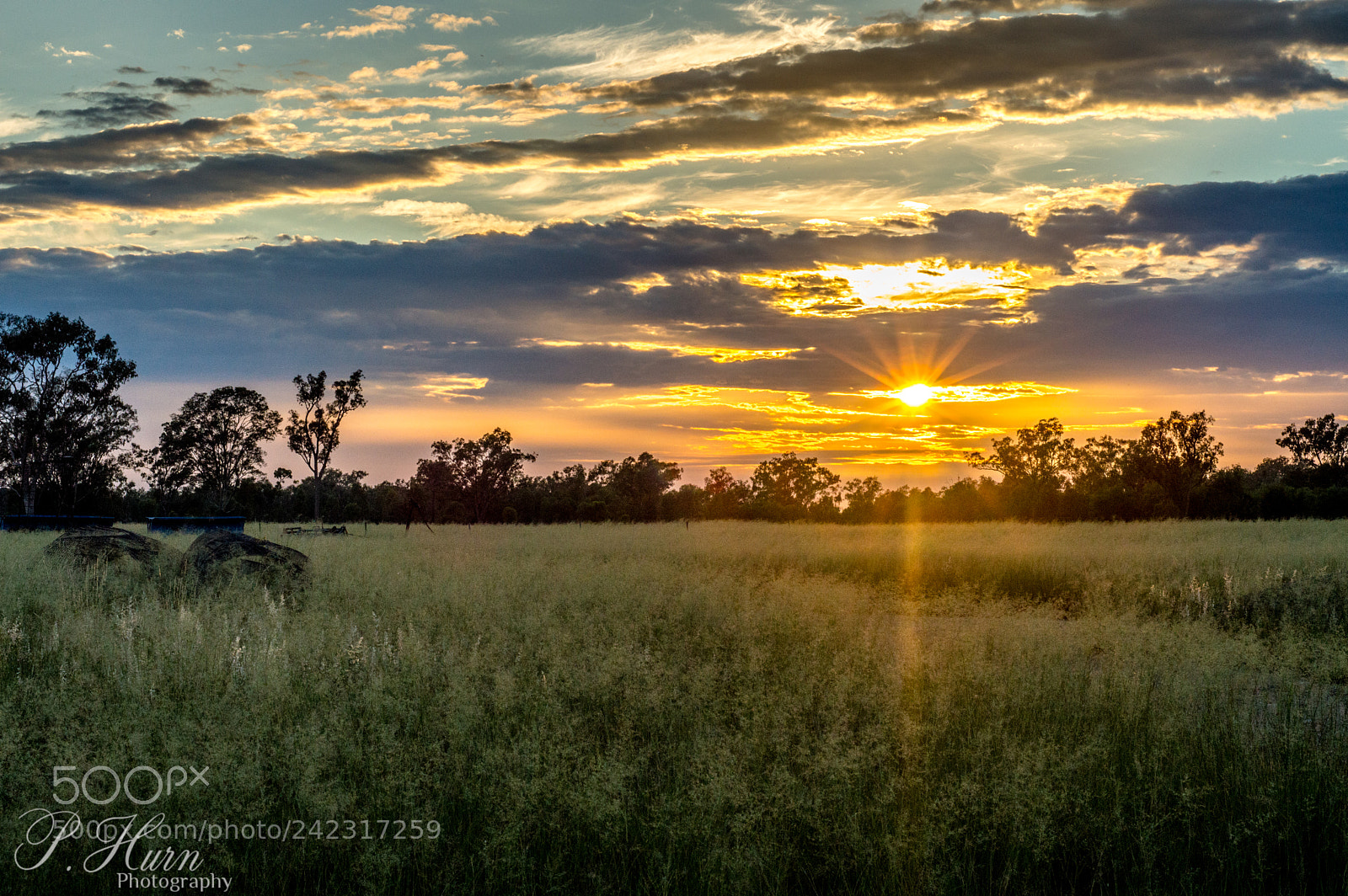 Nikon D3200 sample photo. Country sunrise photography