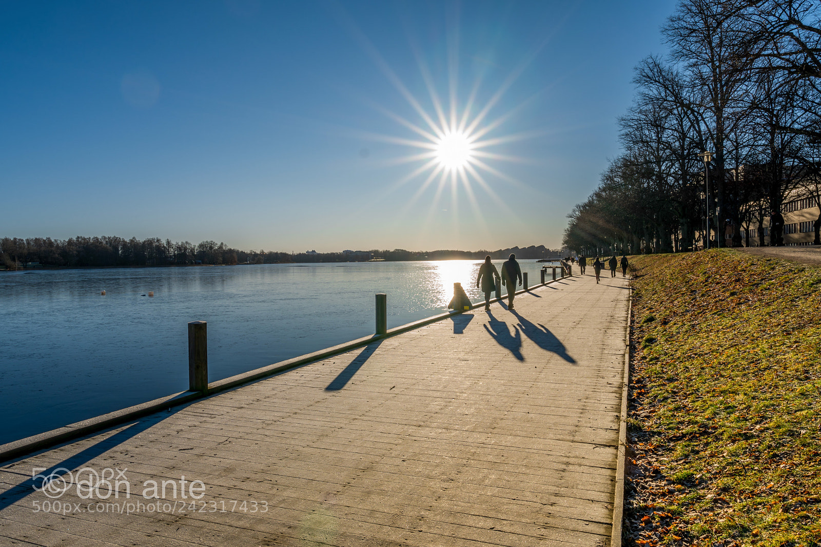 Sony a6500 sample photo. Amazing sun! photography