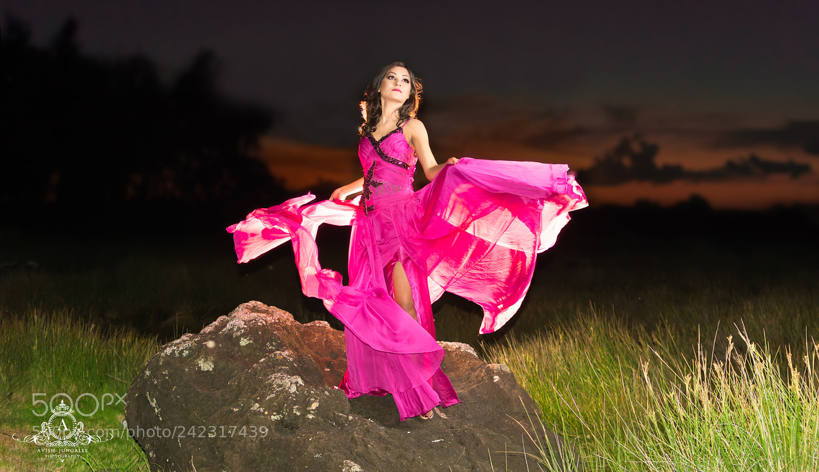 Nikon D7100 sample photo. The sunset fairy photography