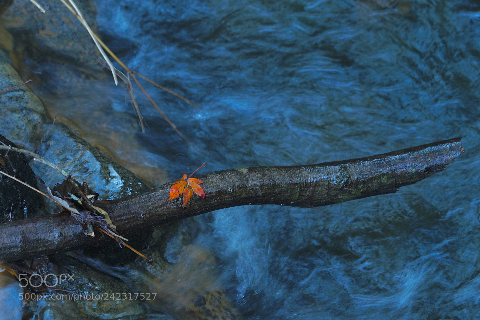 Sony a7 II sample photo. Stream photography