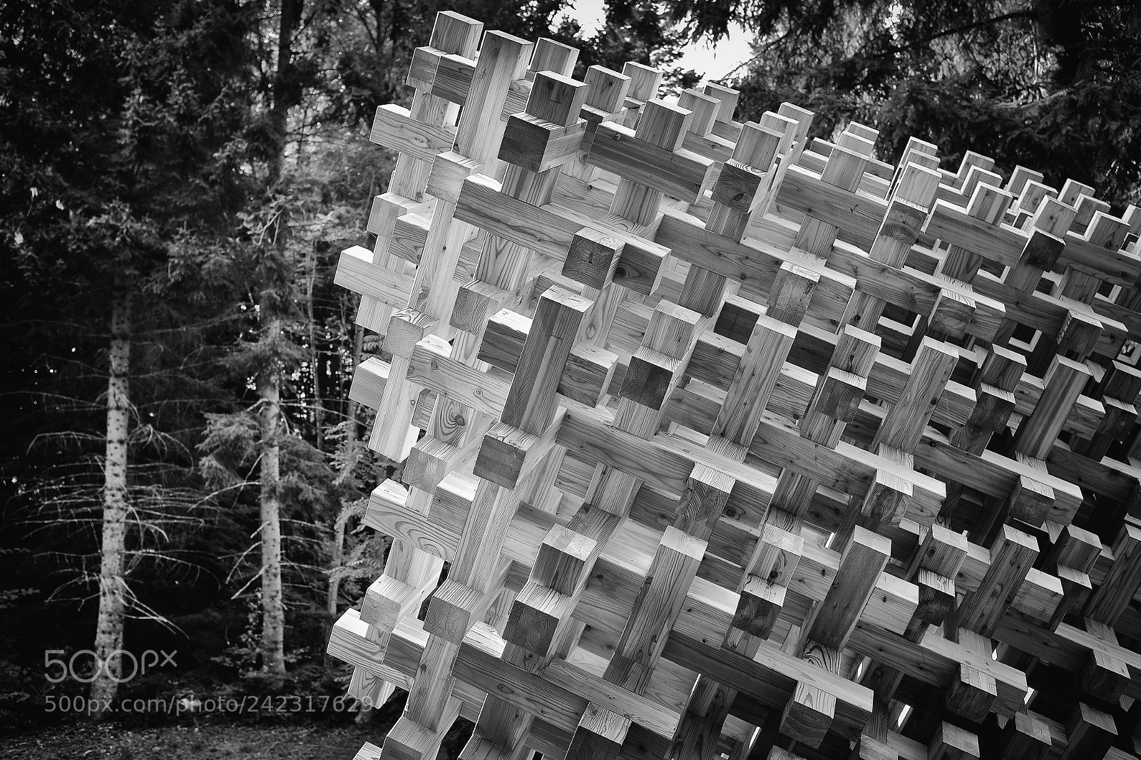Fujifilm X100T sample photo. Wood on wood photography