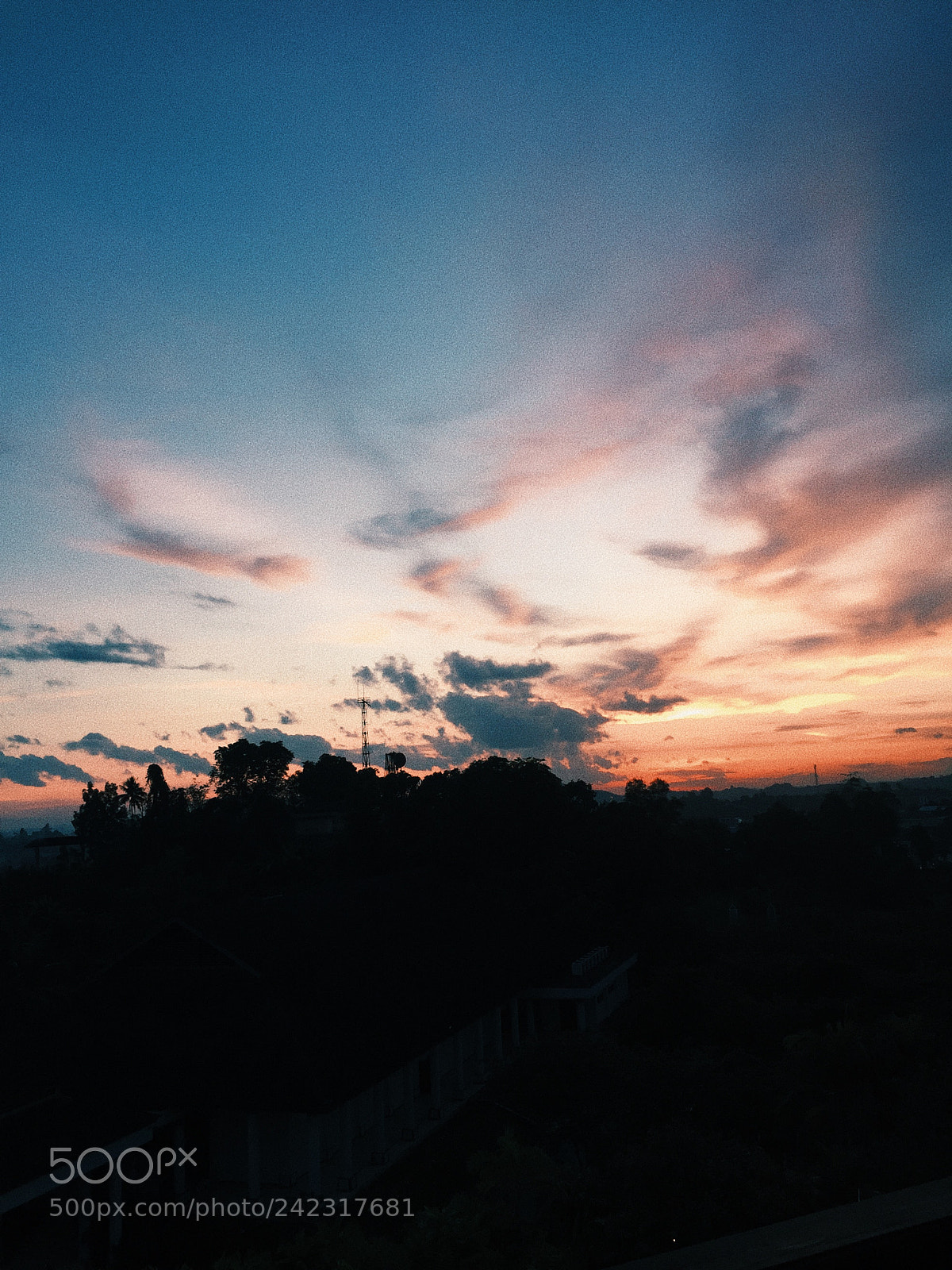 Apple iPhone 6 sample photo. Processed with vsco with photography