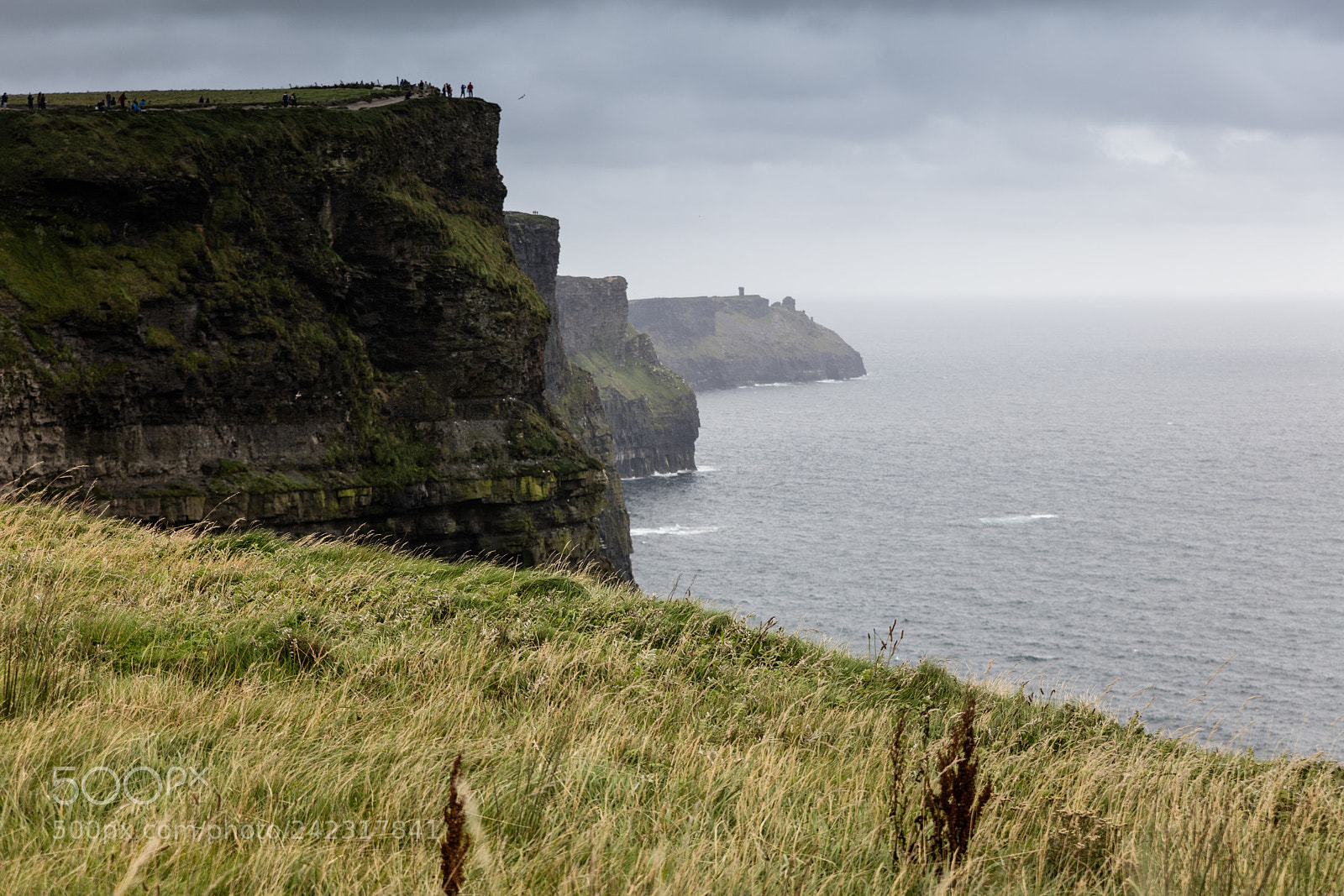 Canon EOS 5DS R sample photo. The cliffs of moher photography