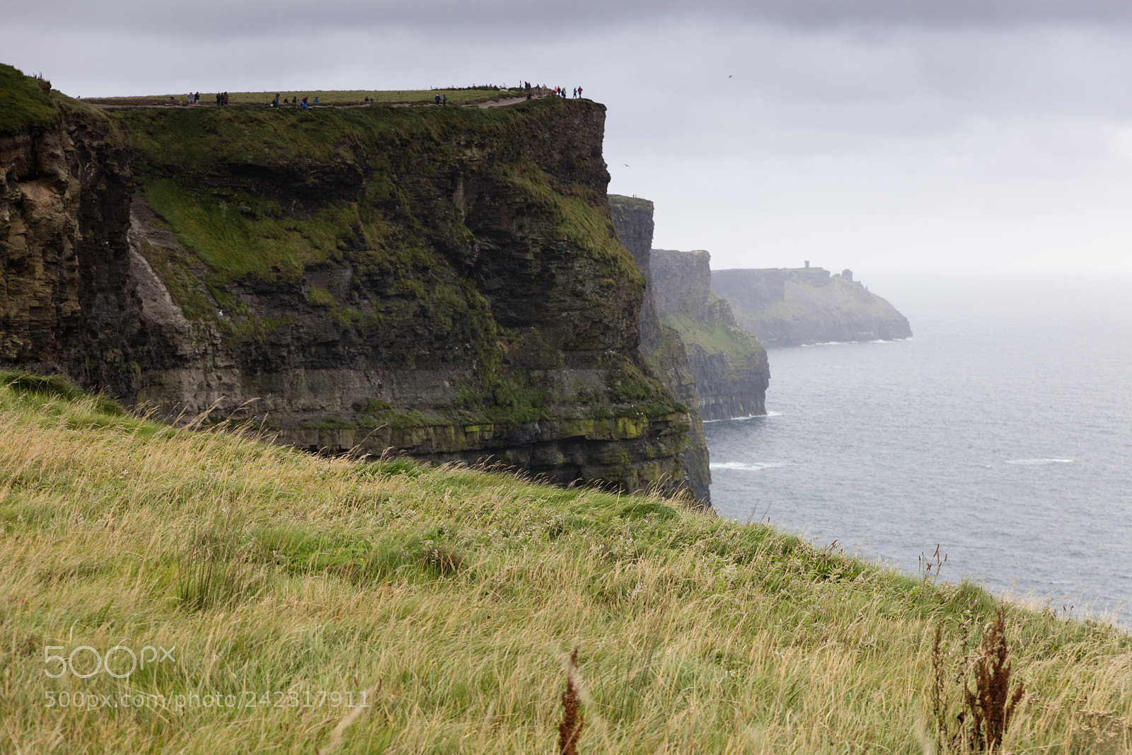Canon EOS 5DS R sample photo. The cliffs of moher photography