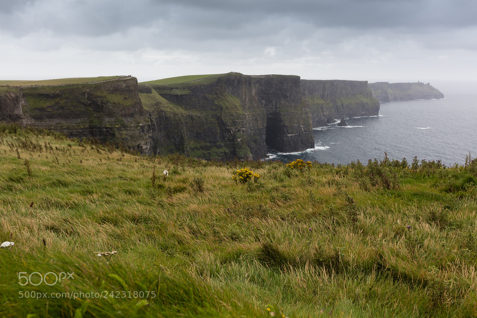 Canon EOS 5DS R sample photo. The cliffs of moher photography