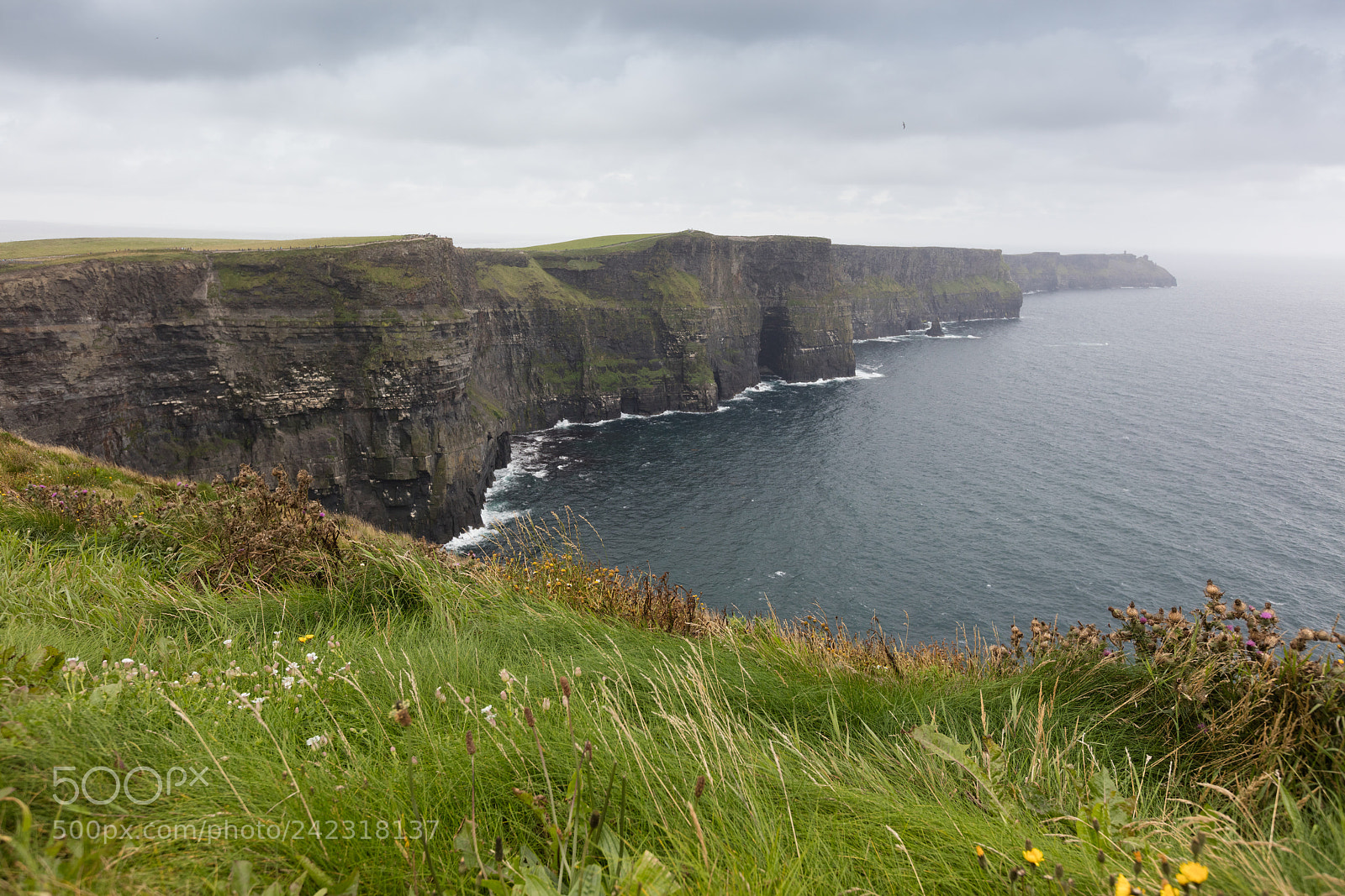 Canon EOS 5DS R sample photo. The cliffs of moher photography