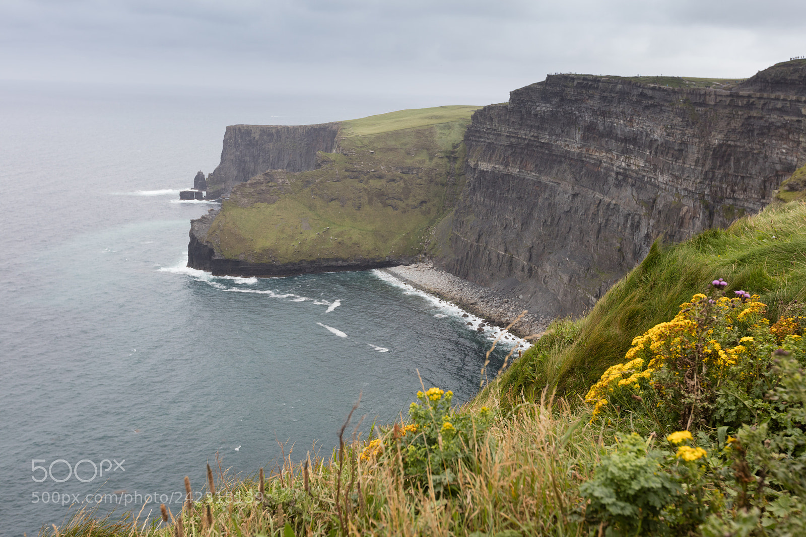 Canon EOS 5DS R sample photo. The cliffs of moher photography