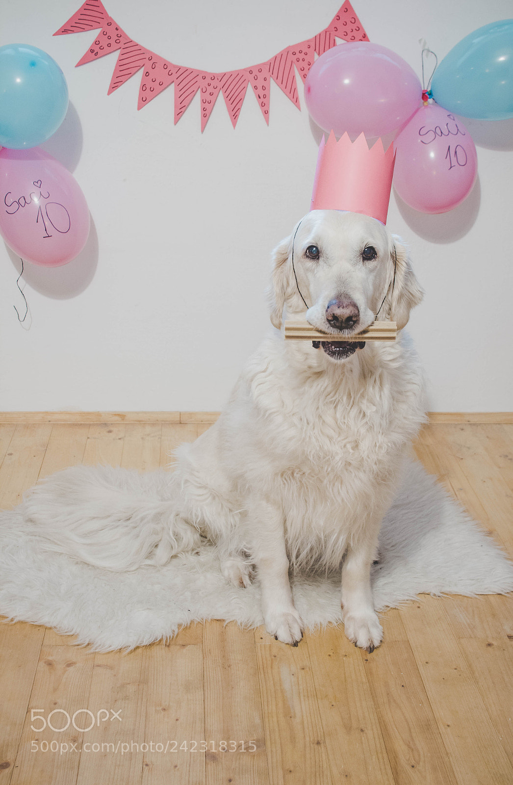 Canon EOS 650D (EOS Rebel T4i / EOS Kiss X6i) sample photo. Birthday girl photography