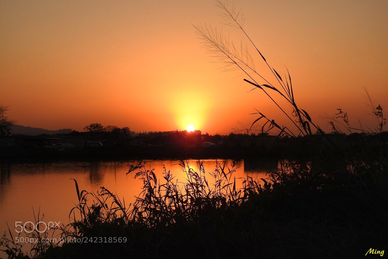 Nikon Coolpix P900 sample photo. Sunset photography