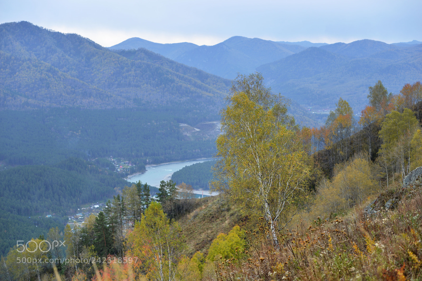 Nikon D800E sample photo. Altai photography