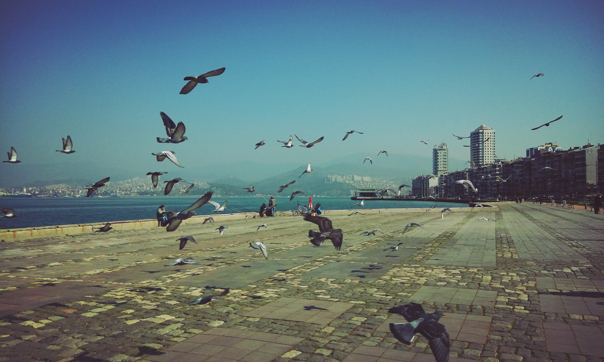 LG X POWER sample photo. Fly photography