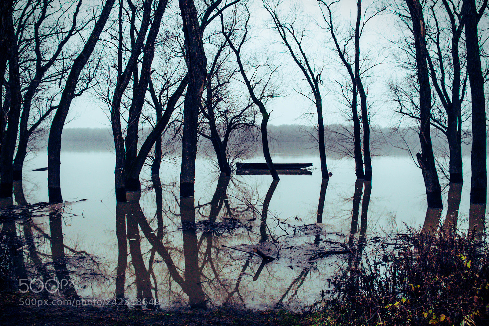 Canon EOS 650D (EOS Rebel T4i / EOS Kiss X6i) sample photo. The flood and the photography