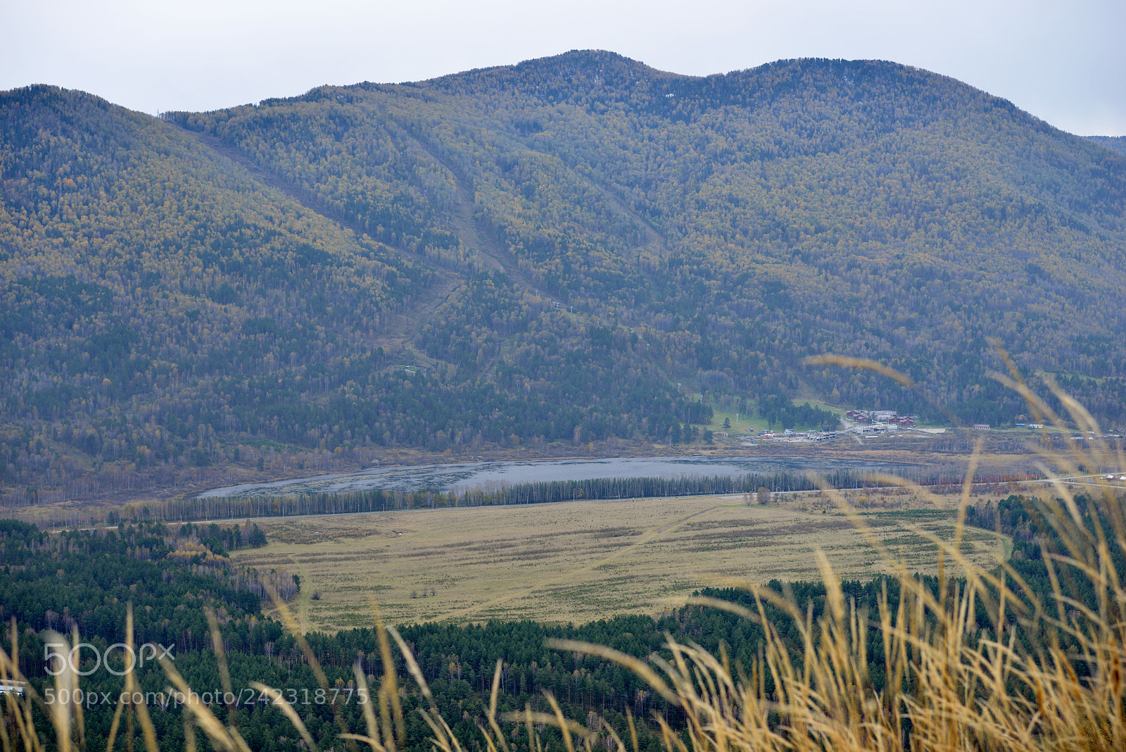 Nikon D800E sample photo. Altai photography