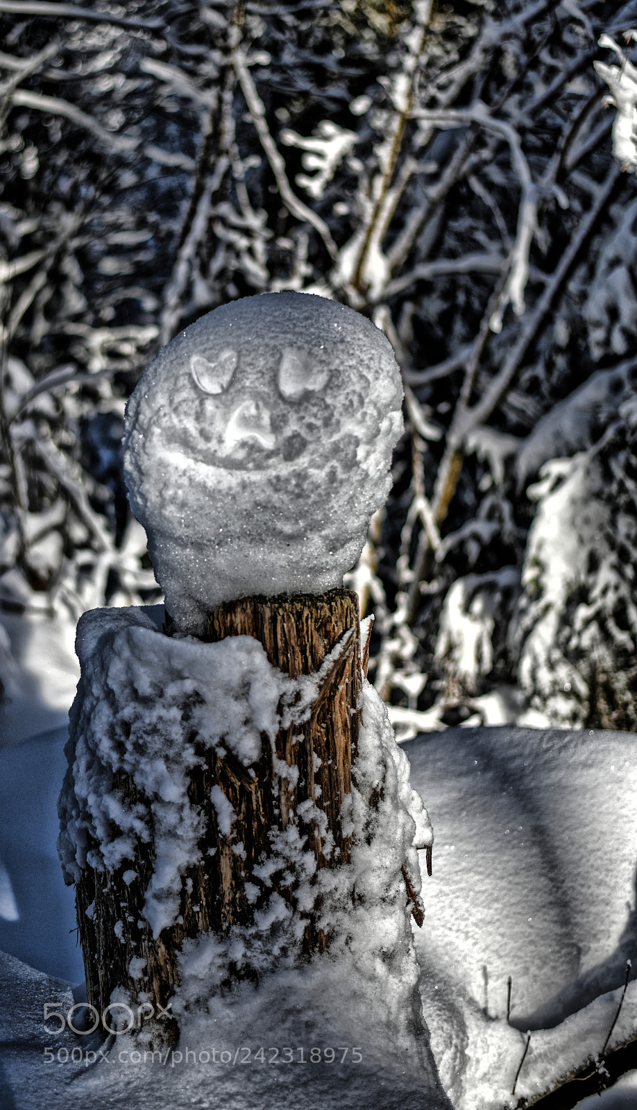Nikon D850 sample photo. Frozen face photography