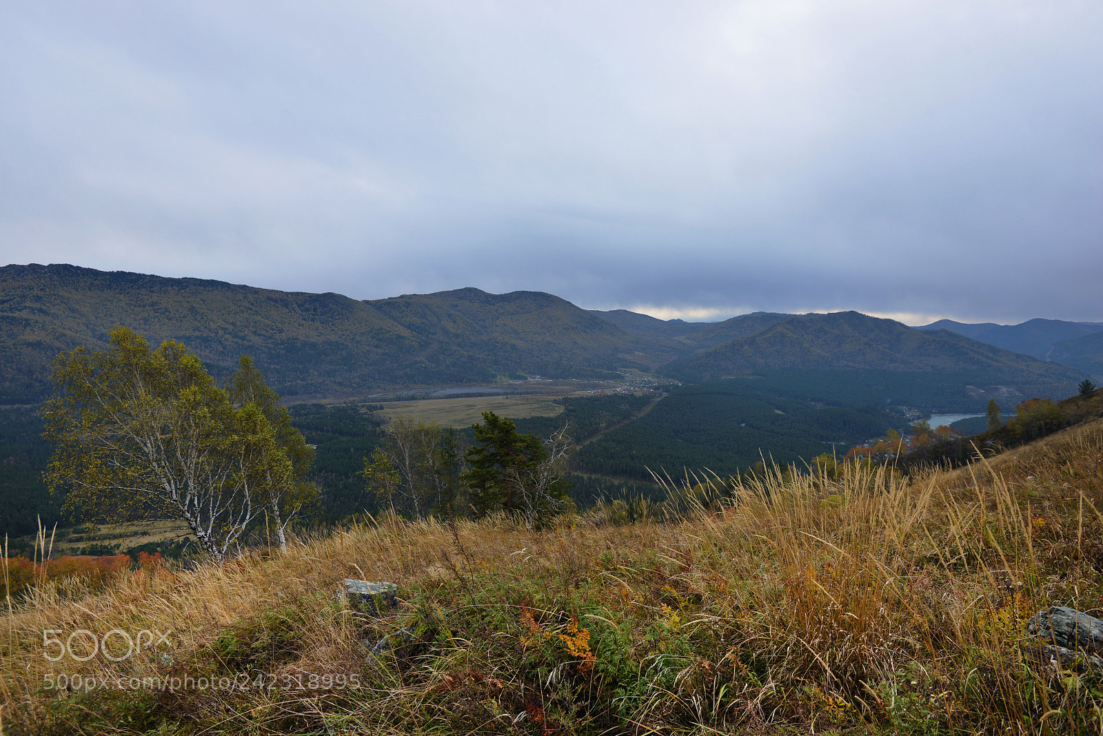 Nikon D800E sample photo. Altai photography