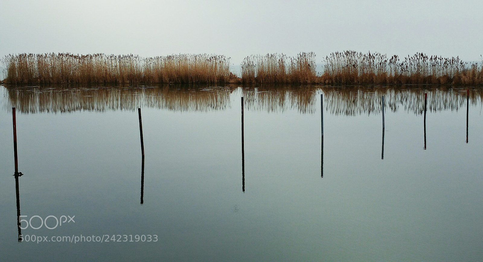 LG G5 sample photo. Winter on lake balaton photography