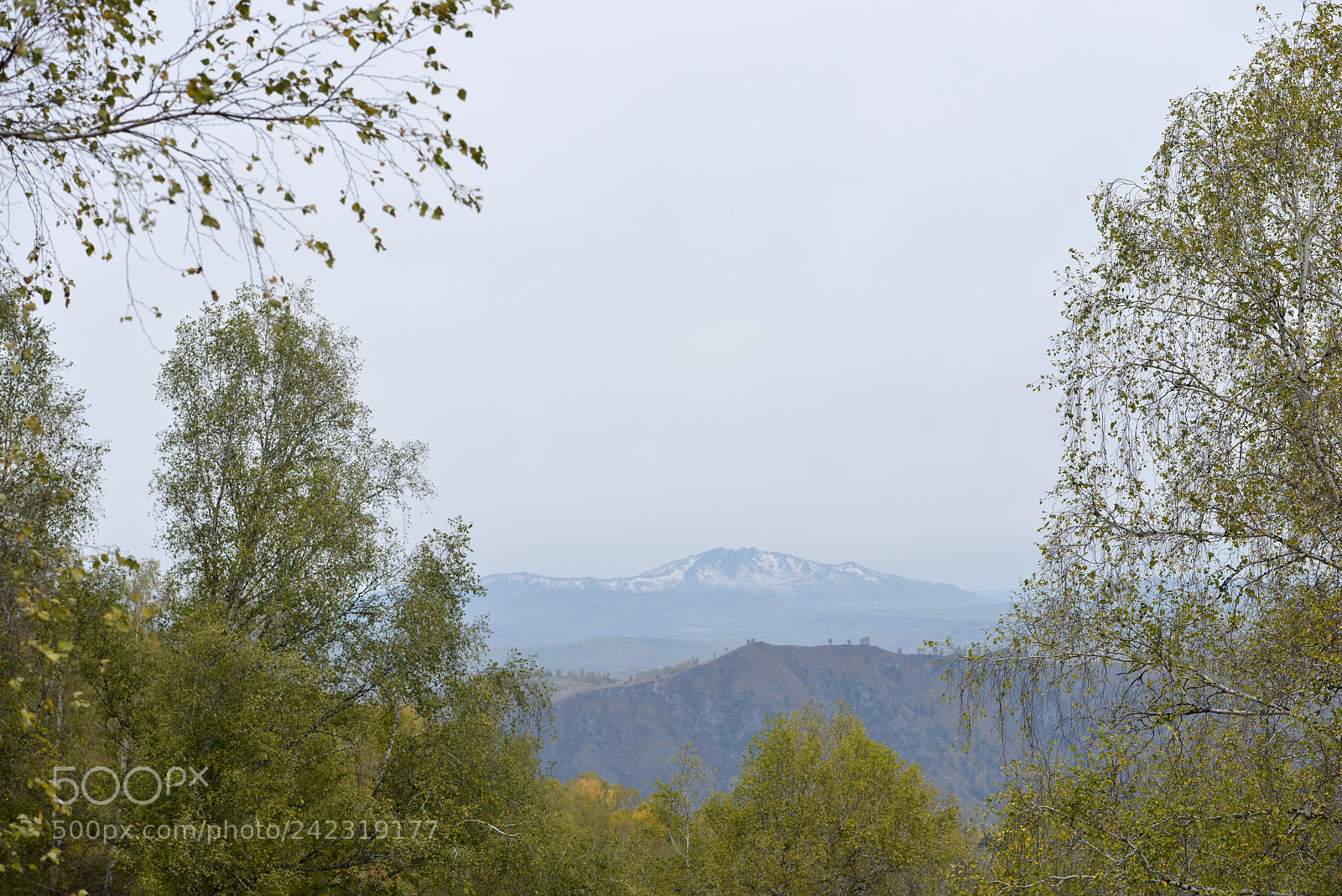 Nikon D800E sample photo. Altai photography