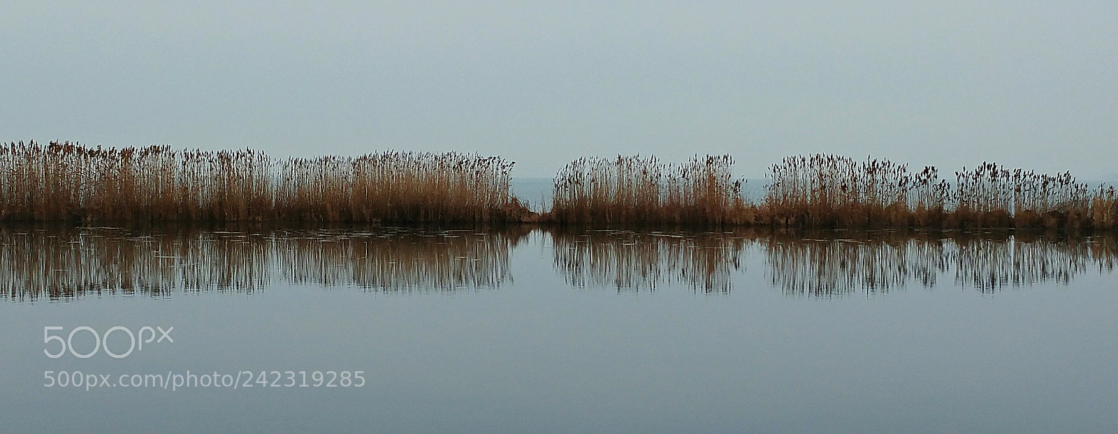LG G5 sample photo. Winter silence photography