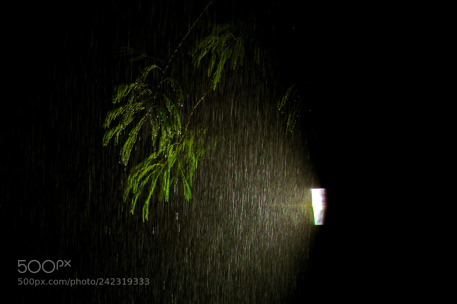 Canon EOS 60D sample photo. Untitled photography