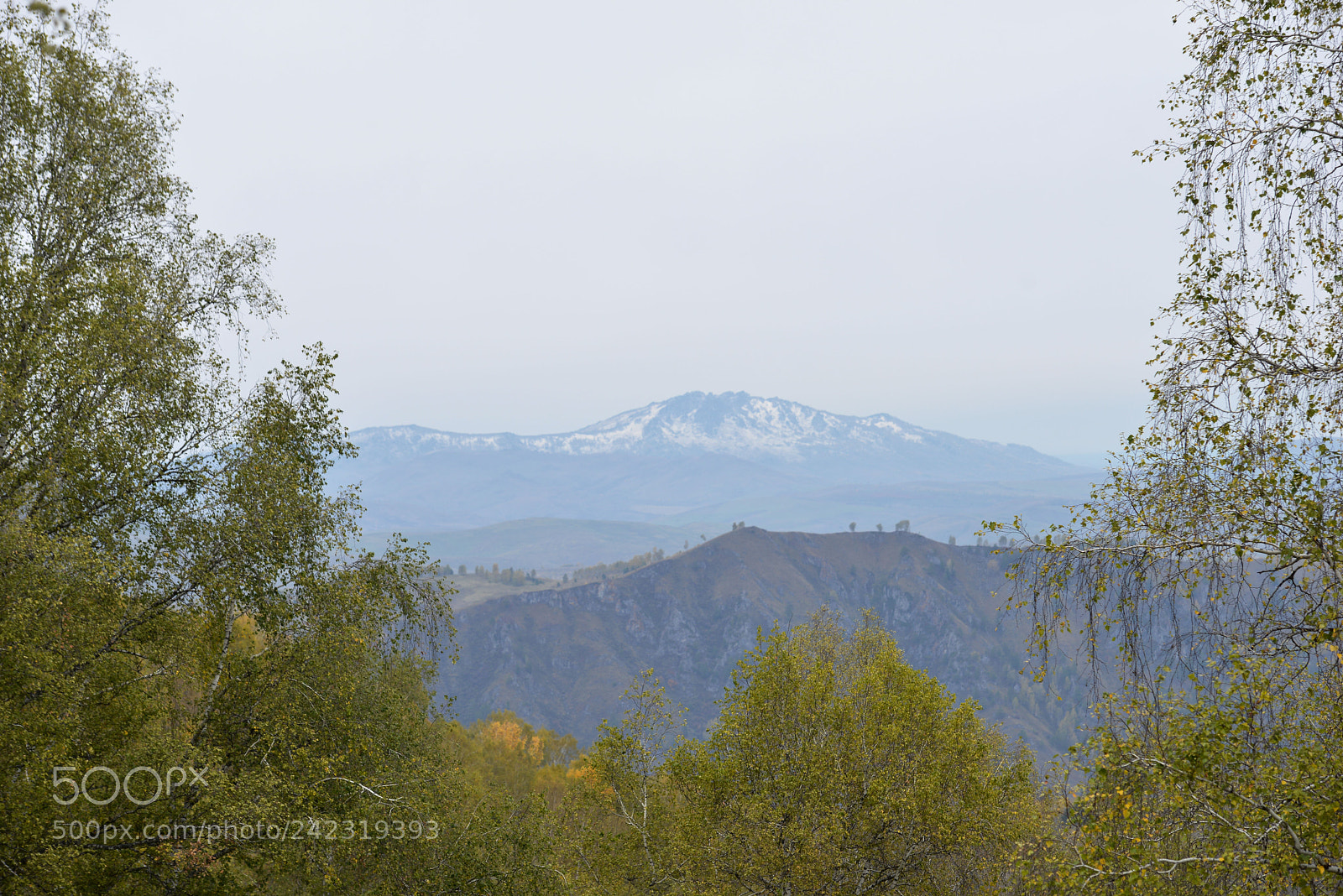 Nikon D800E sample photo. Altai photography