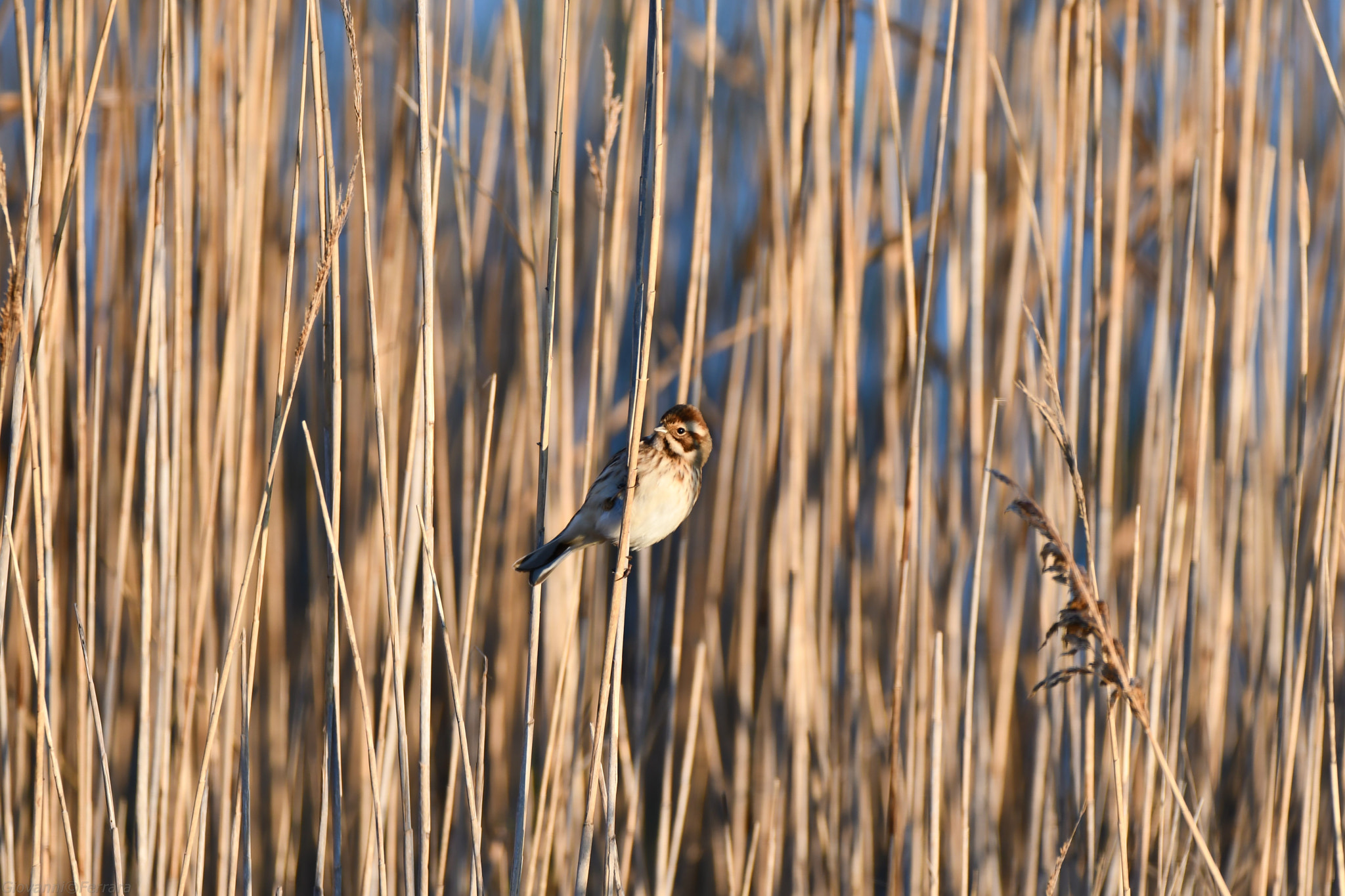 Nikon D7500 sample photo. 086.jpg photography