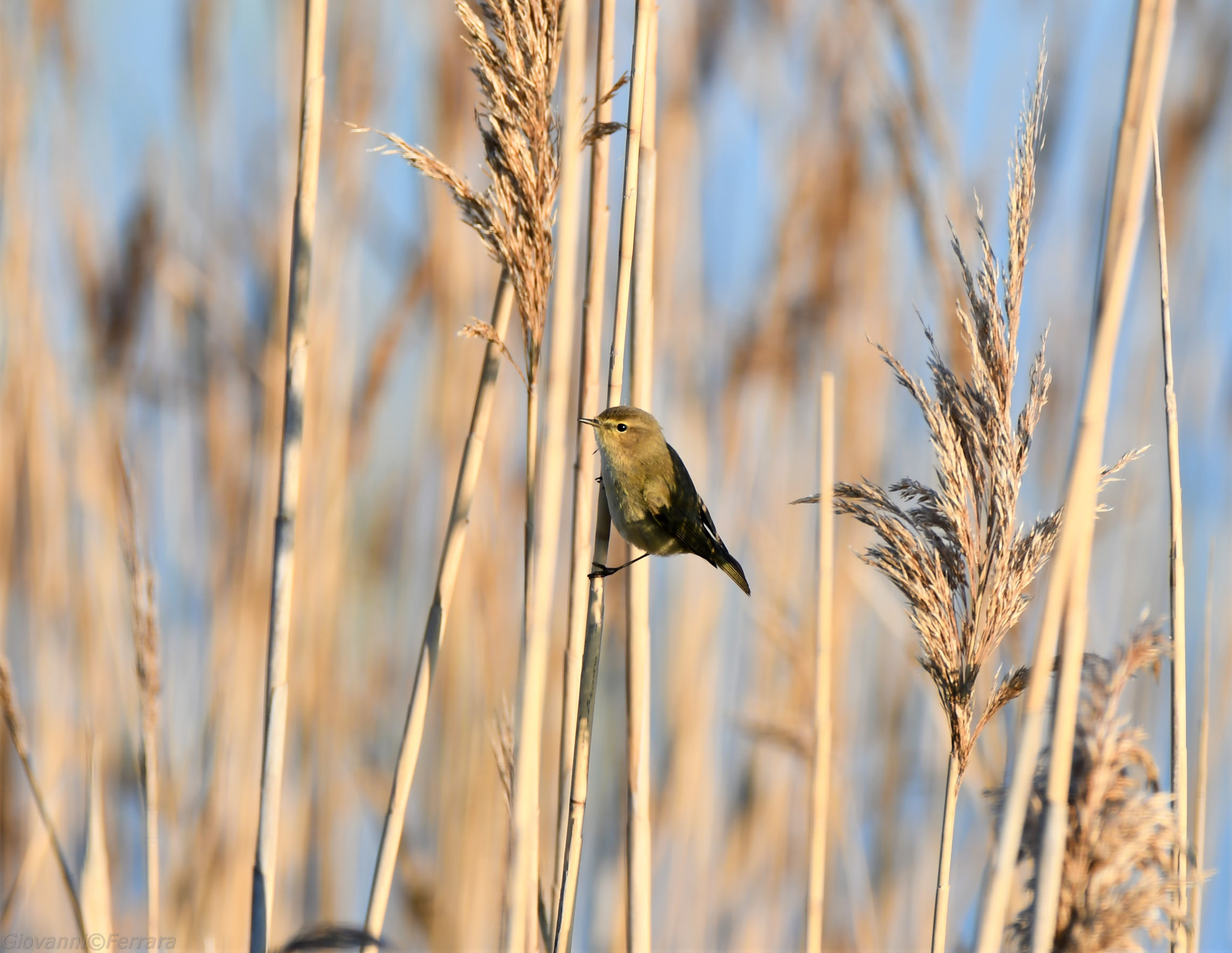 Nikon D7500 sample photo. 123.jpg photography