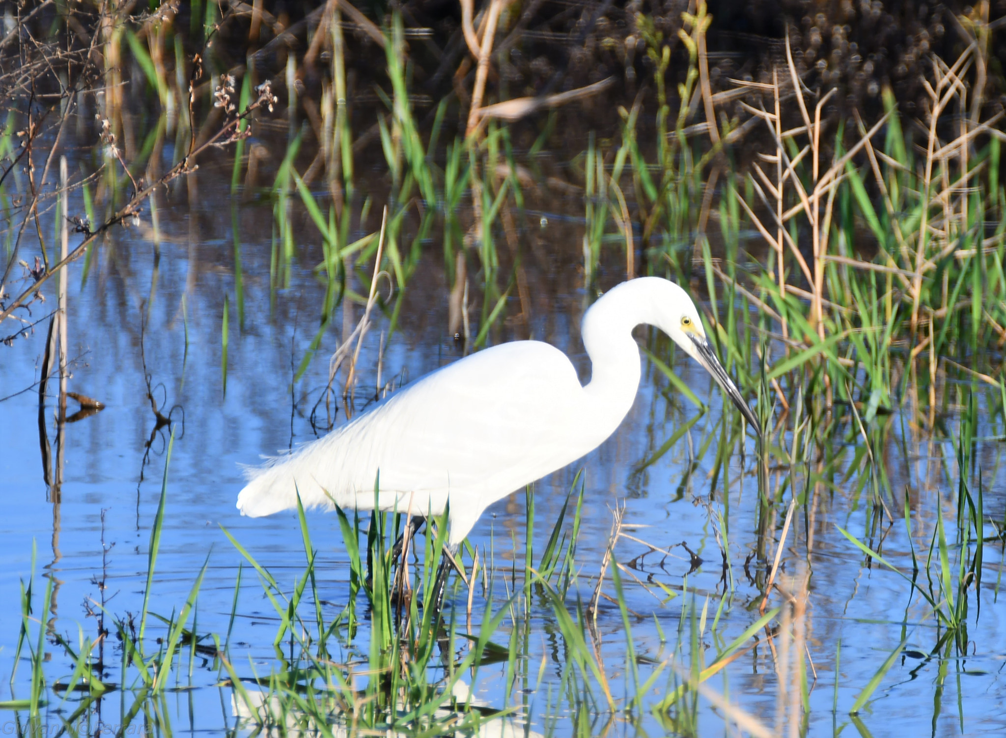 Nikon D7500 sample photo. 176.jpg photography