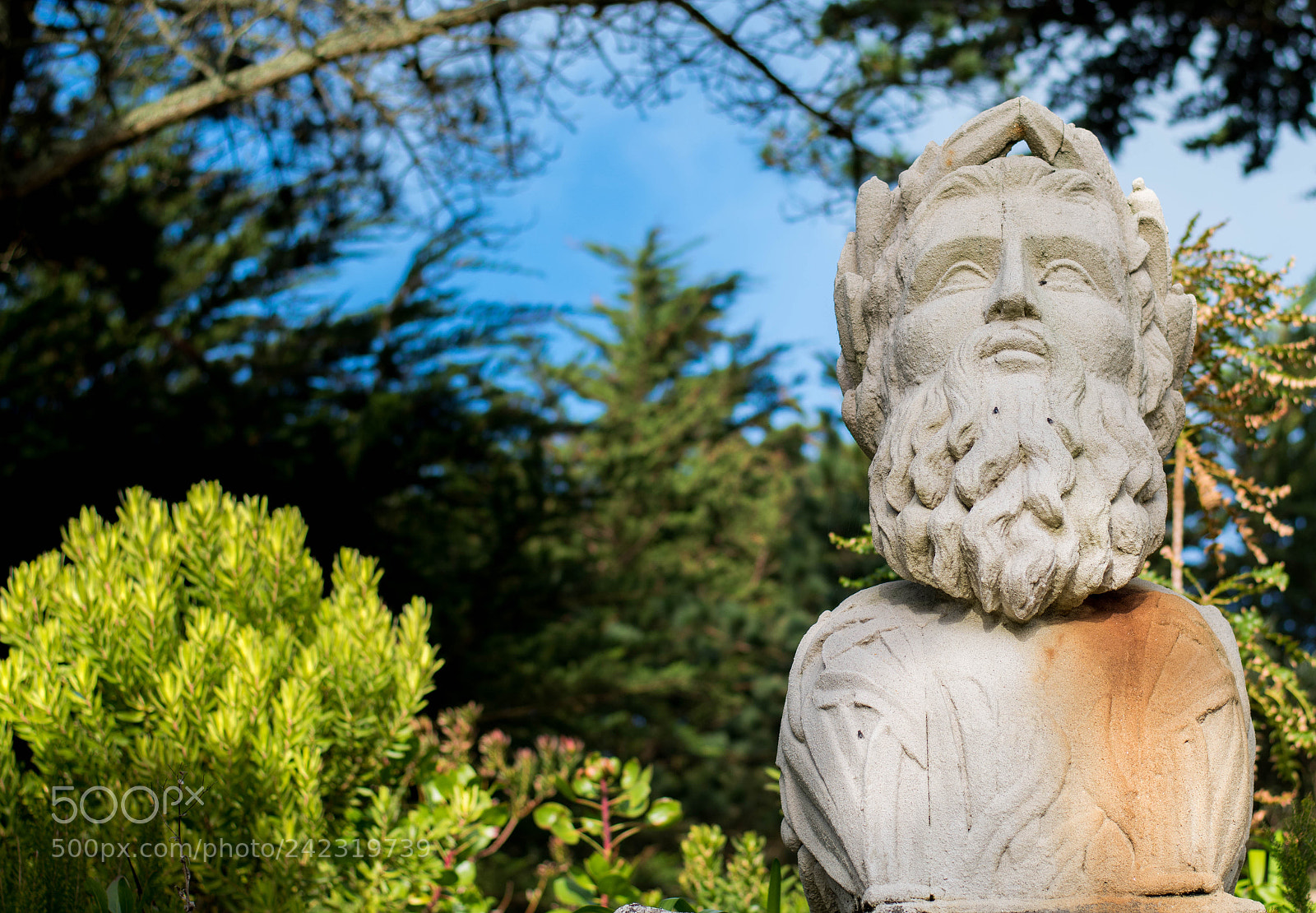 Nikon D5500 sample photo. Dslr photography