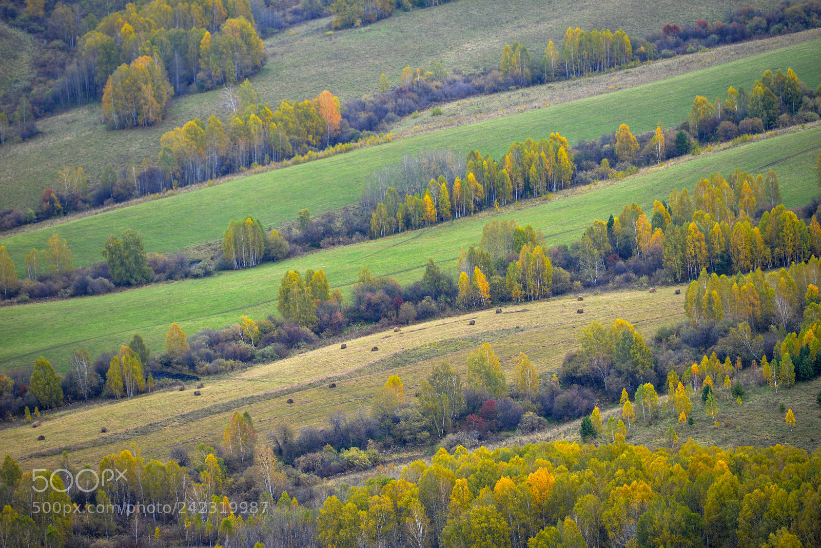 Nikon D800E sample photo. Altai photography