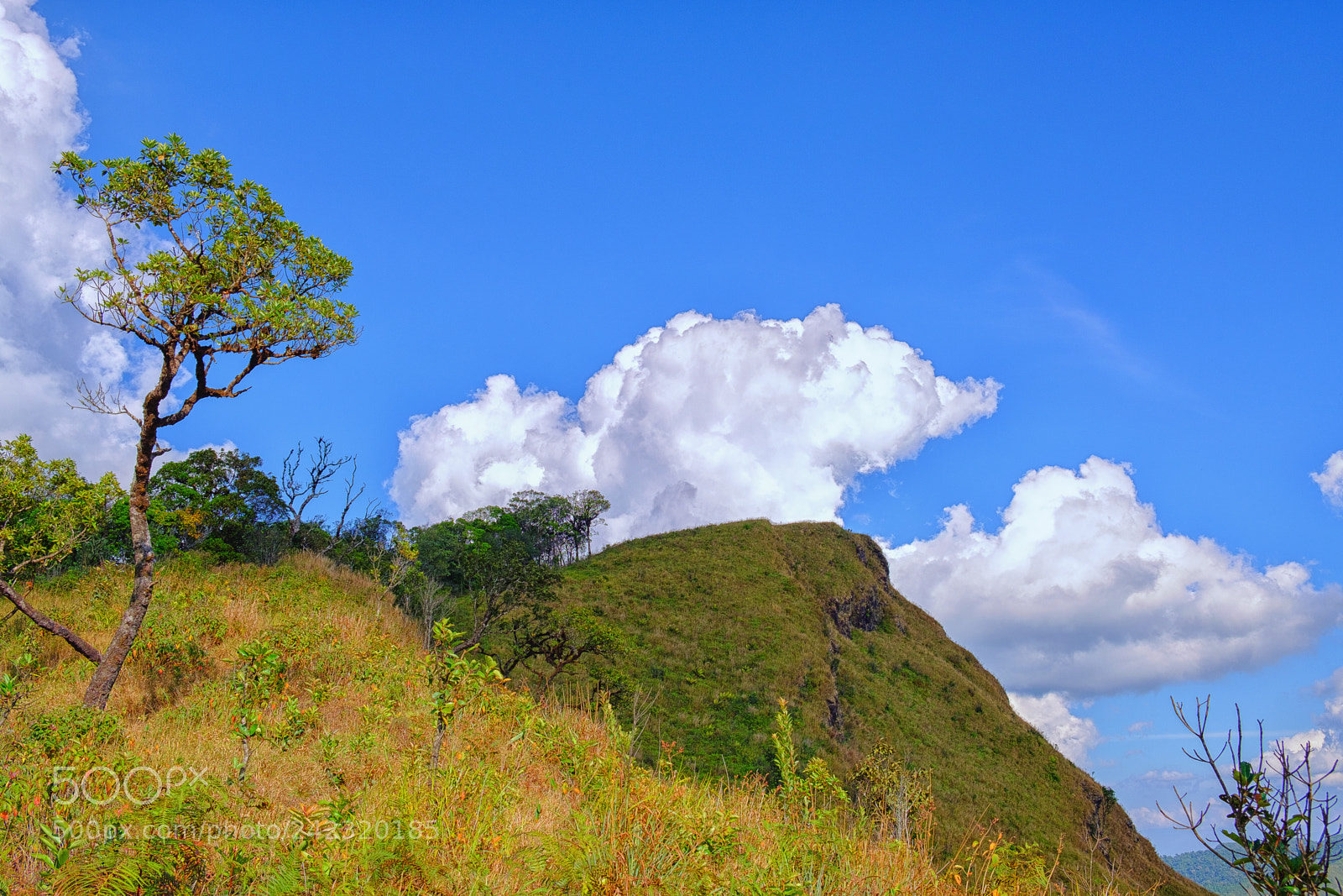 Fujifilm X-T2 sample photo. Mountain valley landscape,clounds blue photography