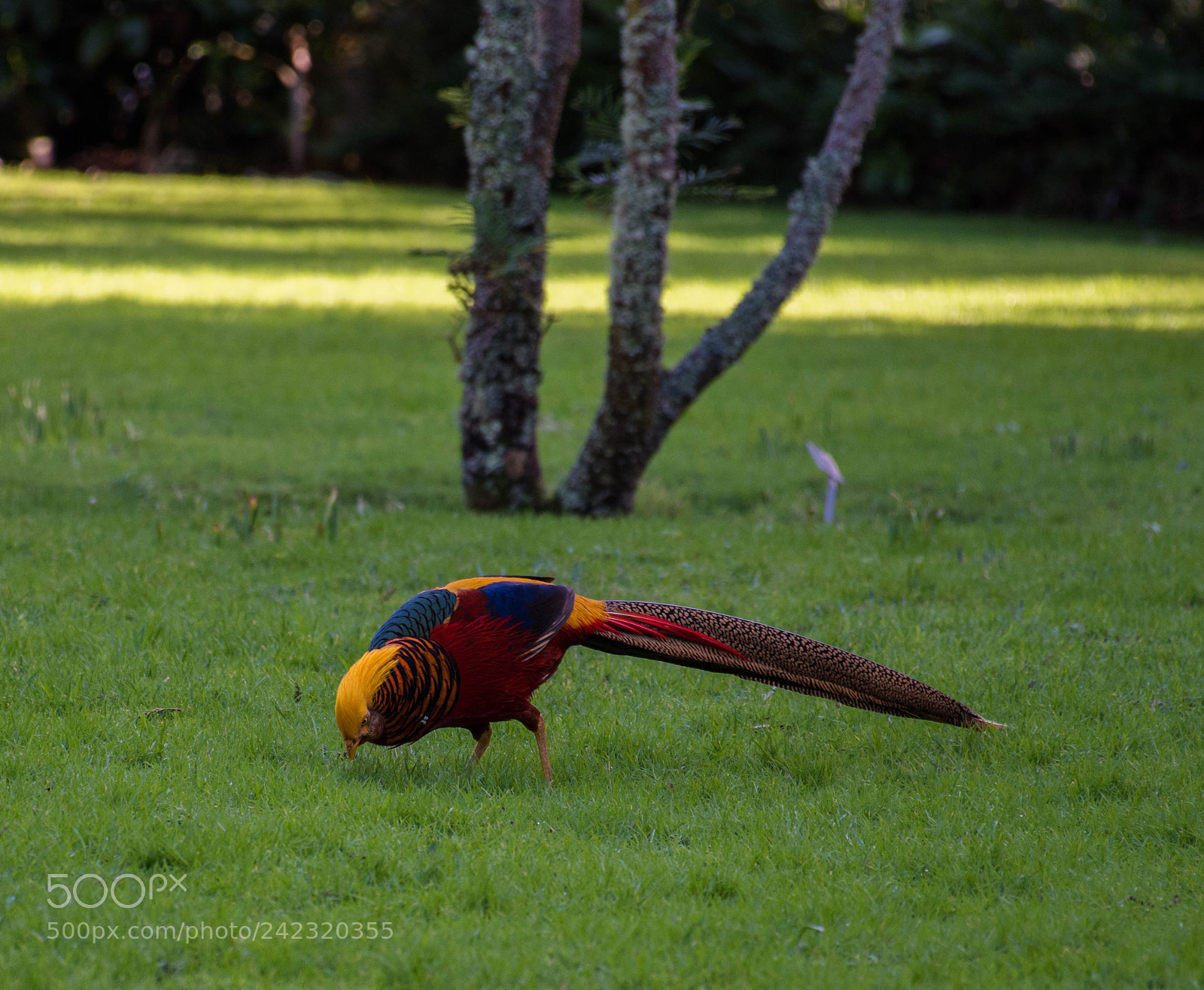 Nikon D5500 sample photo. Dslr photography
